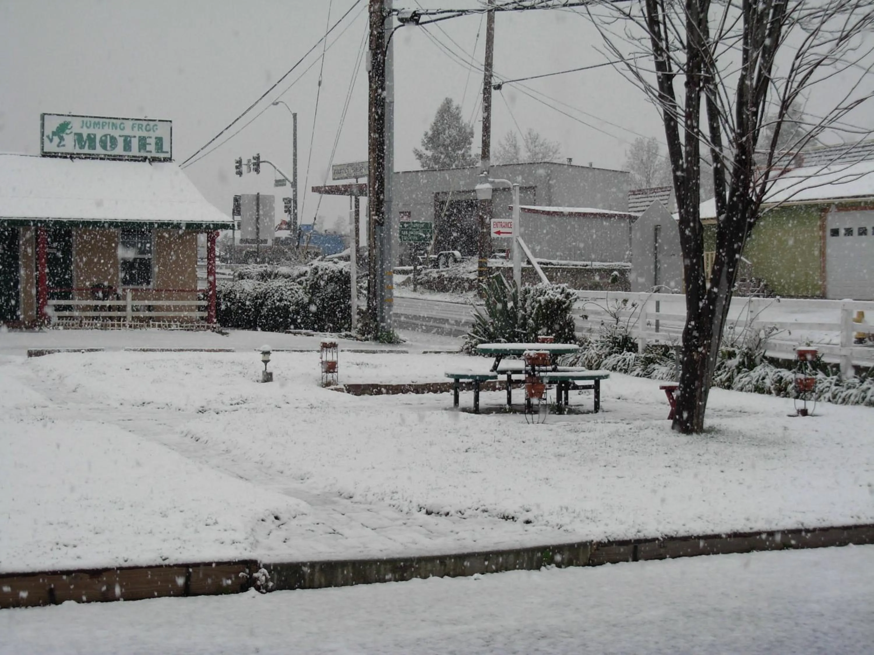 Winter in Jumping Frog Motel