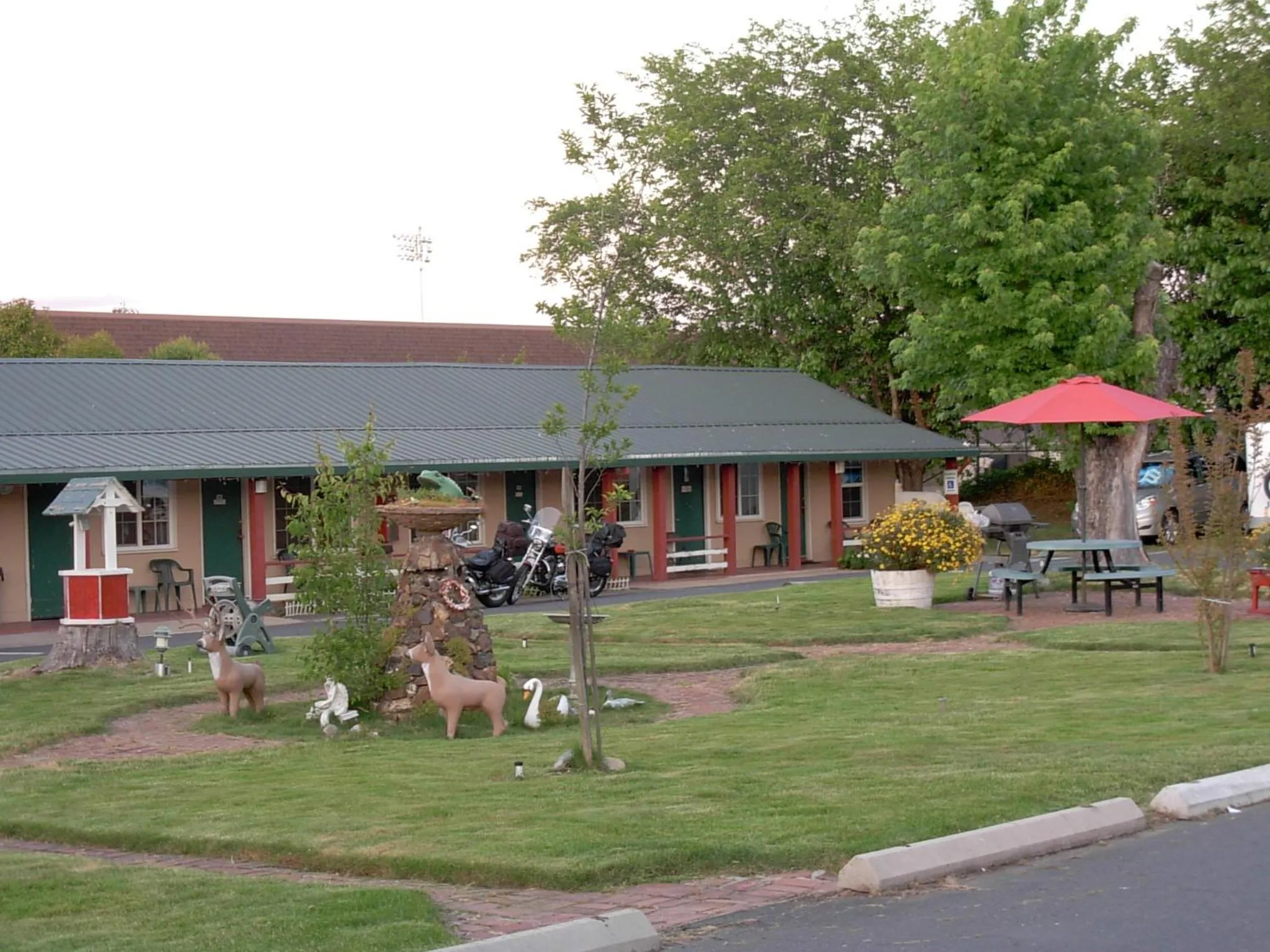 Day in Jumping Frog Motel