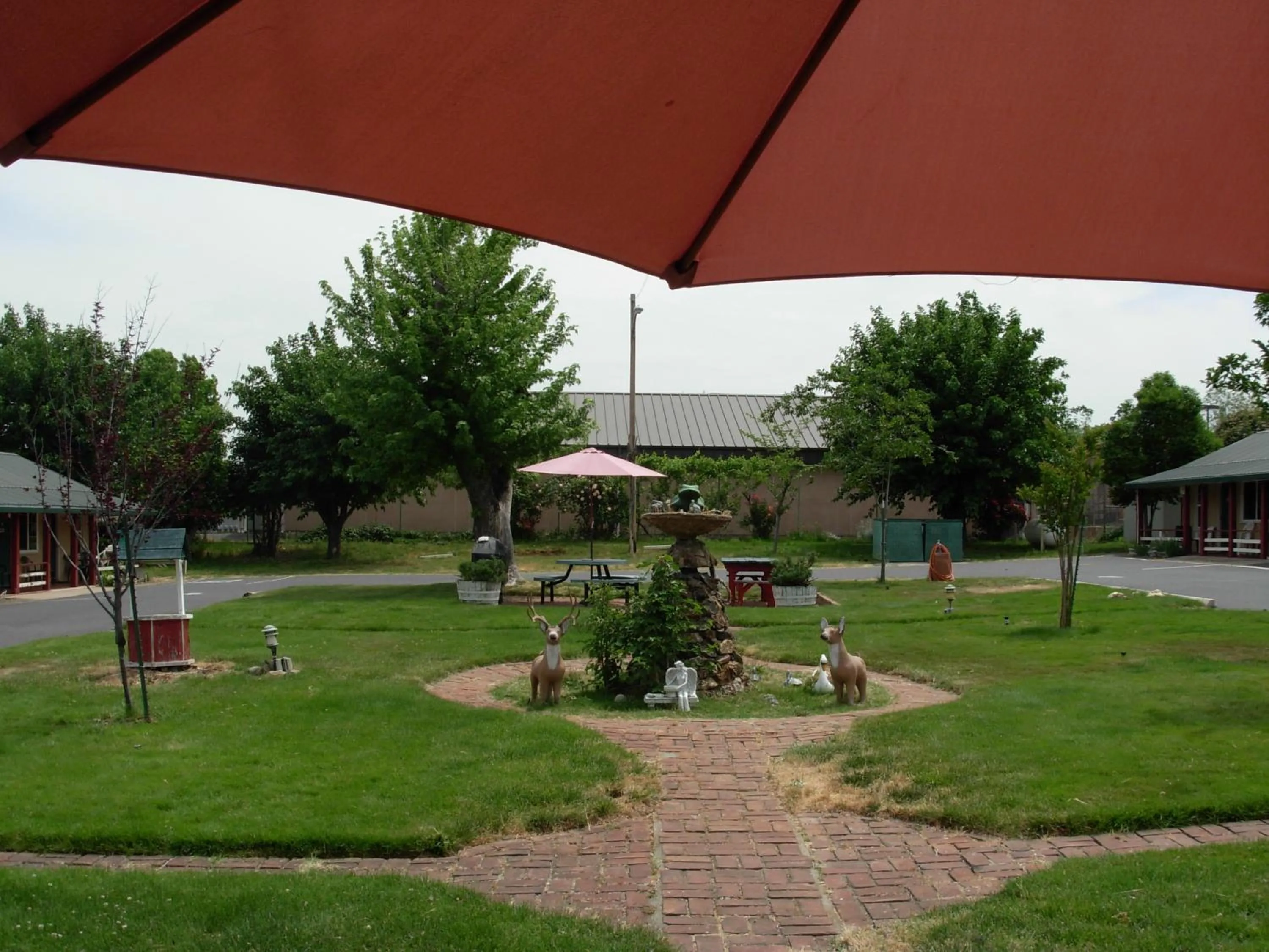 Garden view in Jumping Frog Motel