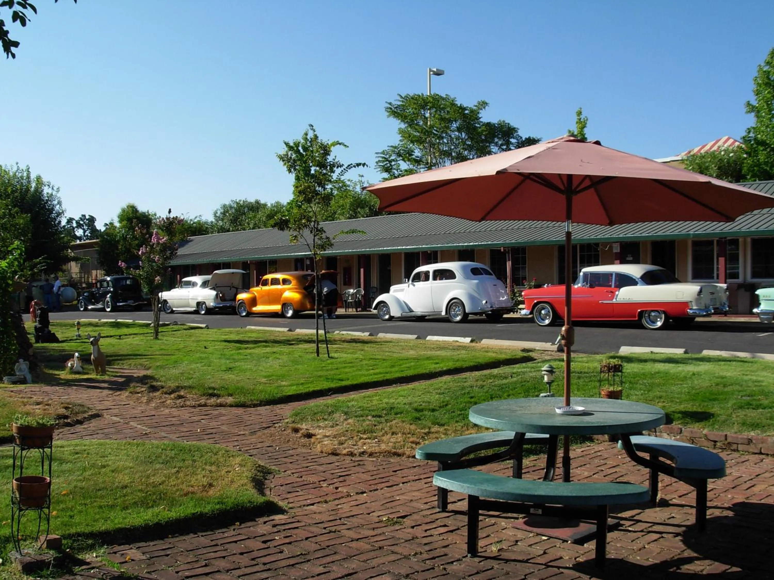 Garden view in Jumping Frog Motel