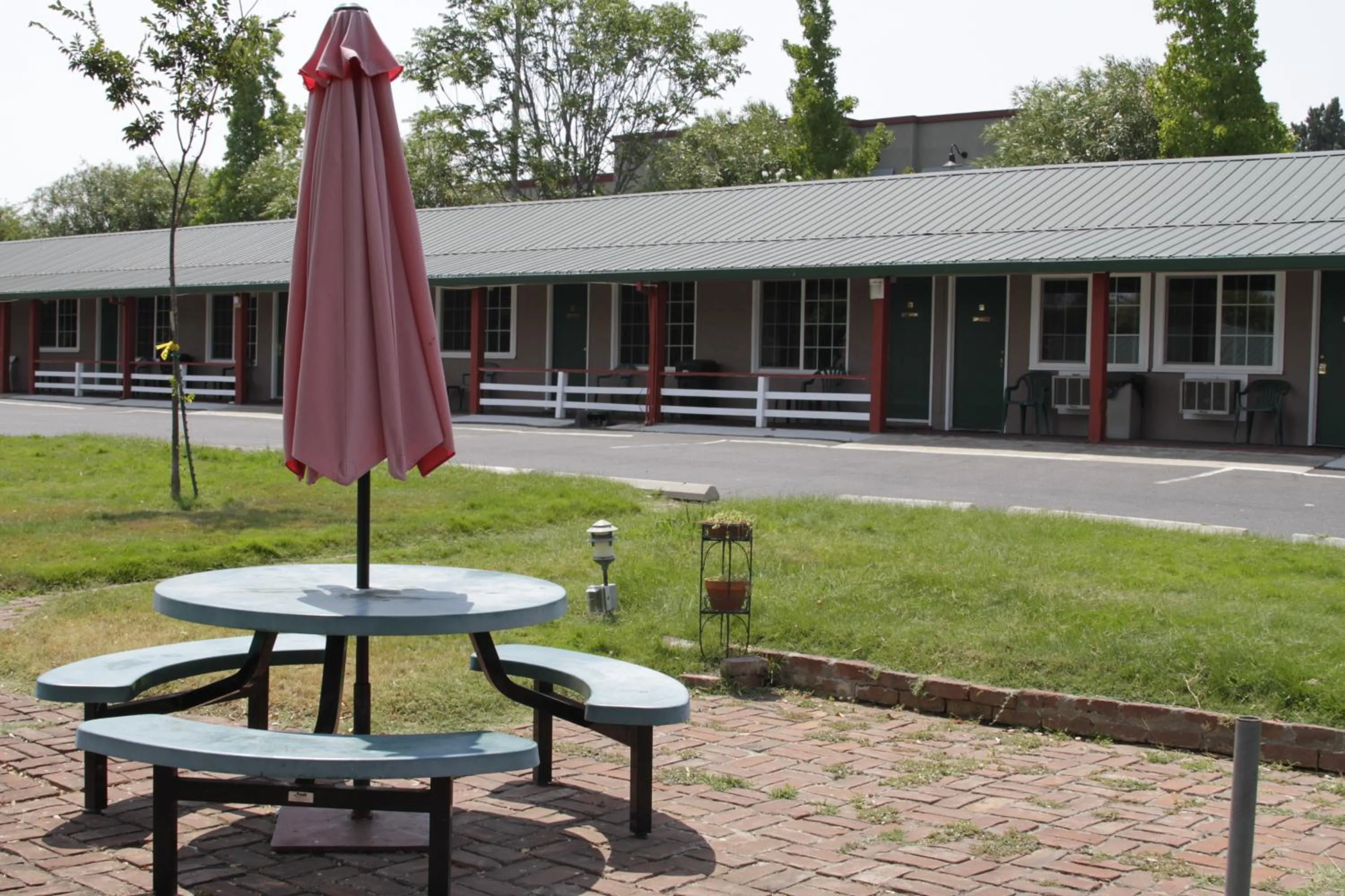 Garden view in Jumping Frog Motel