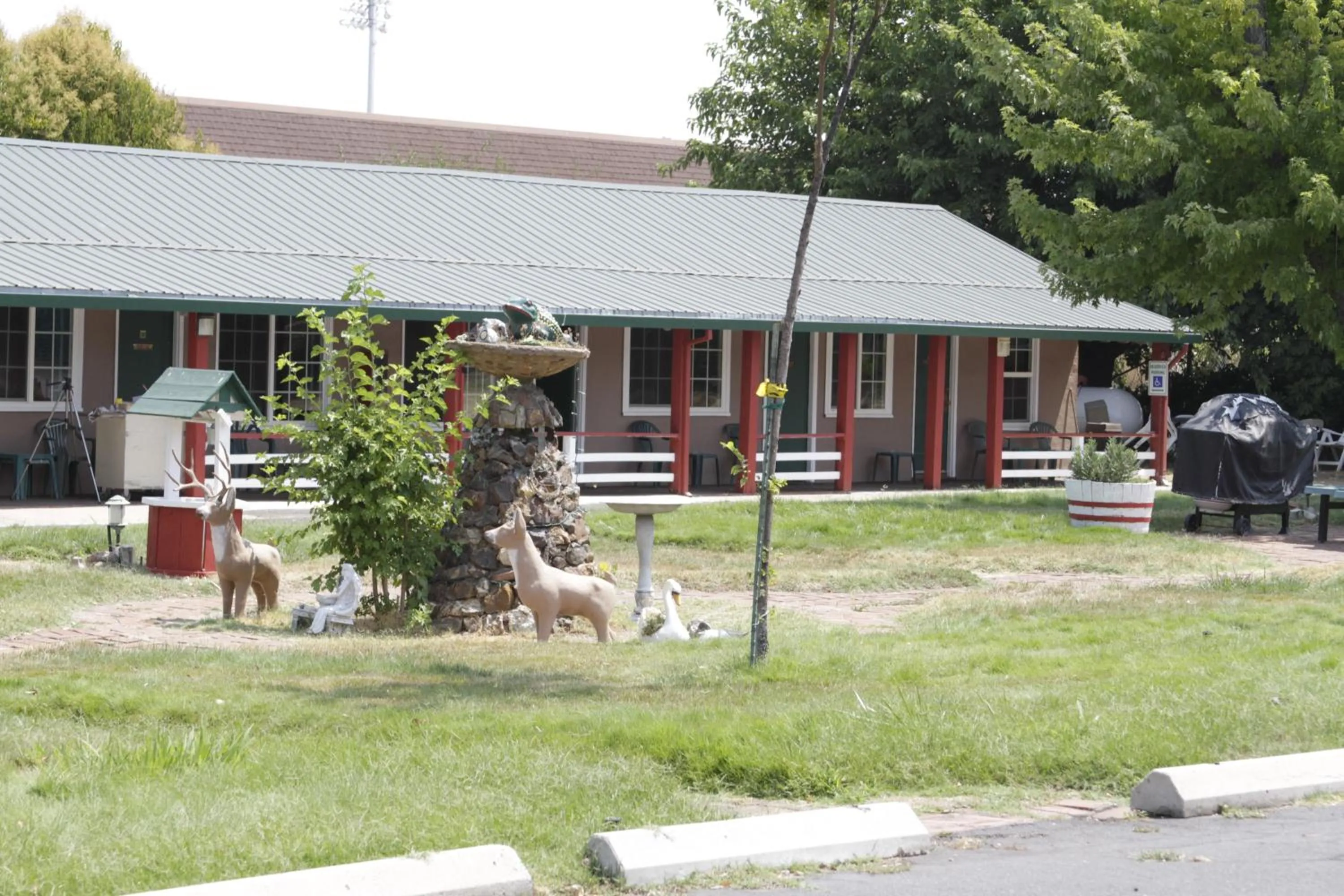 Garden view in Jumping Frog Motel