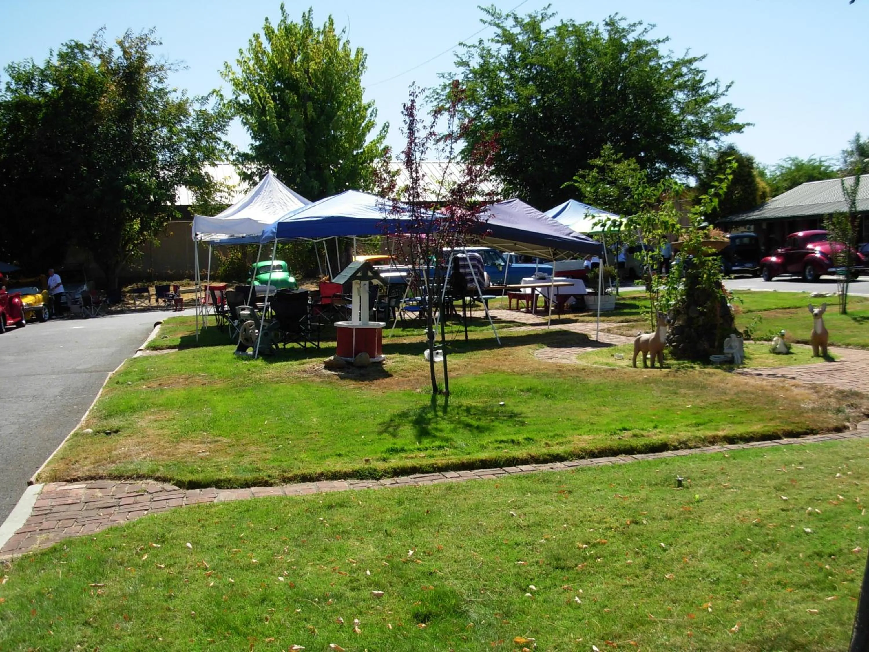 Garden view in Jumping Frog Motel