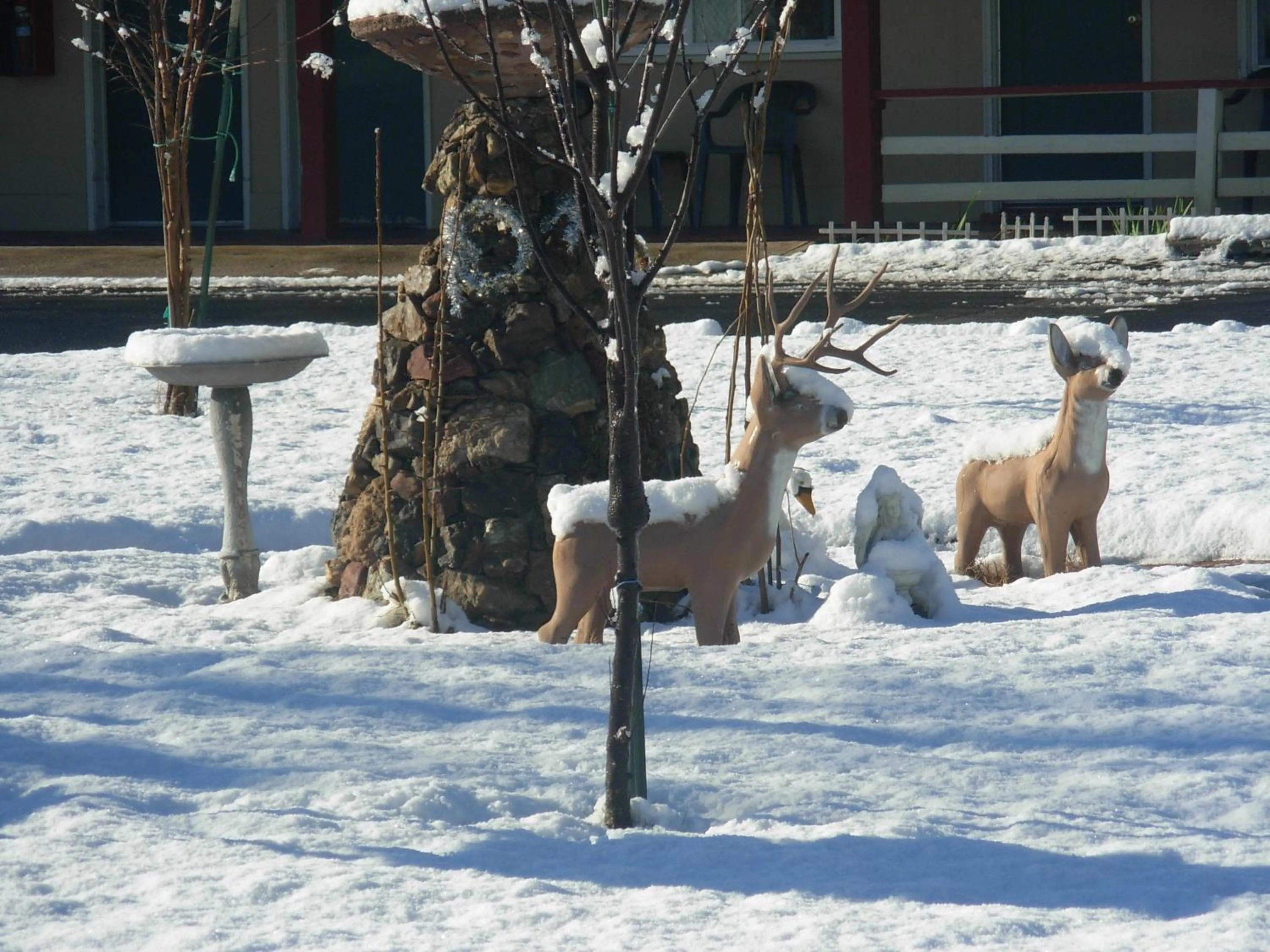 Day in Jumping Frog Motel