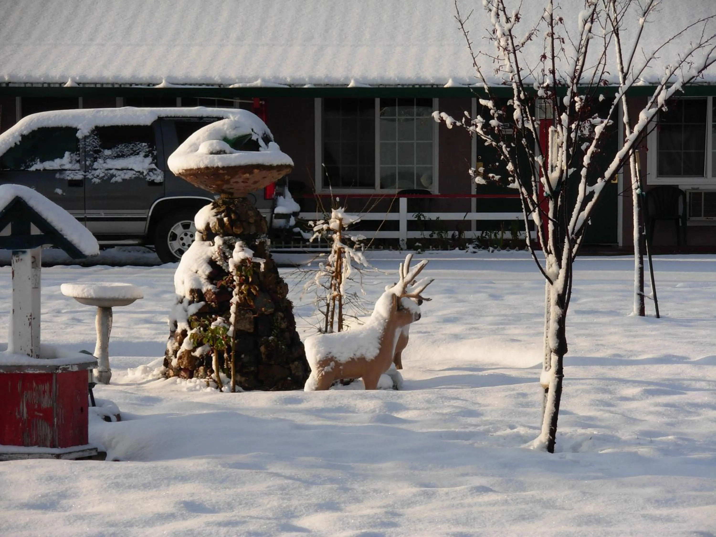 Winter in Jumping Frog Motel