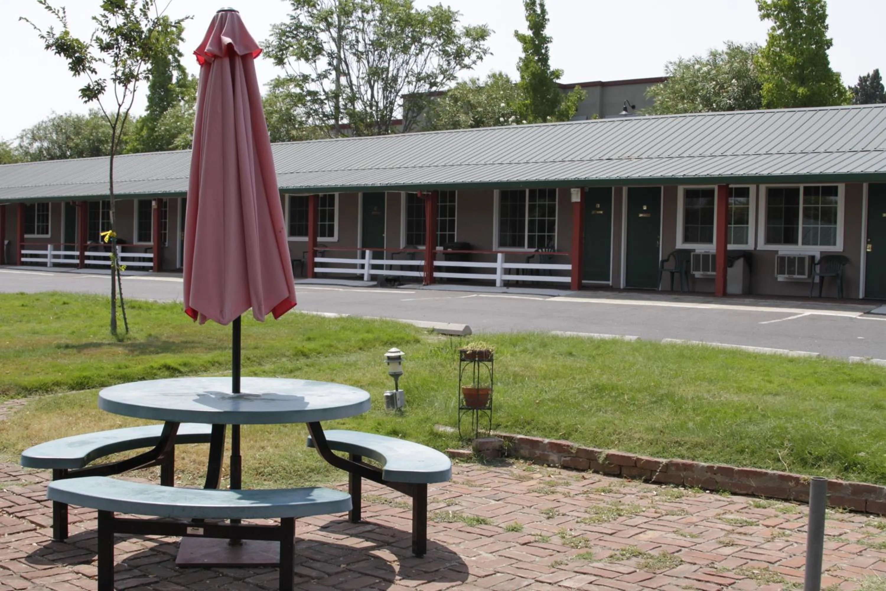 Garden view in Jumping Frog Motel