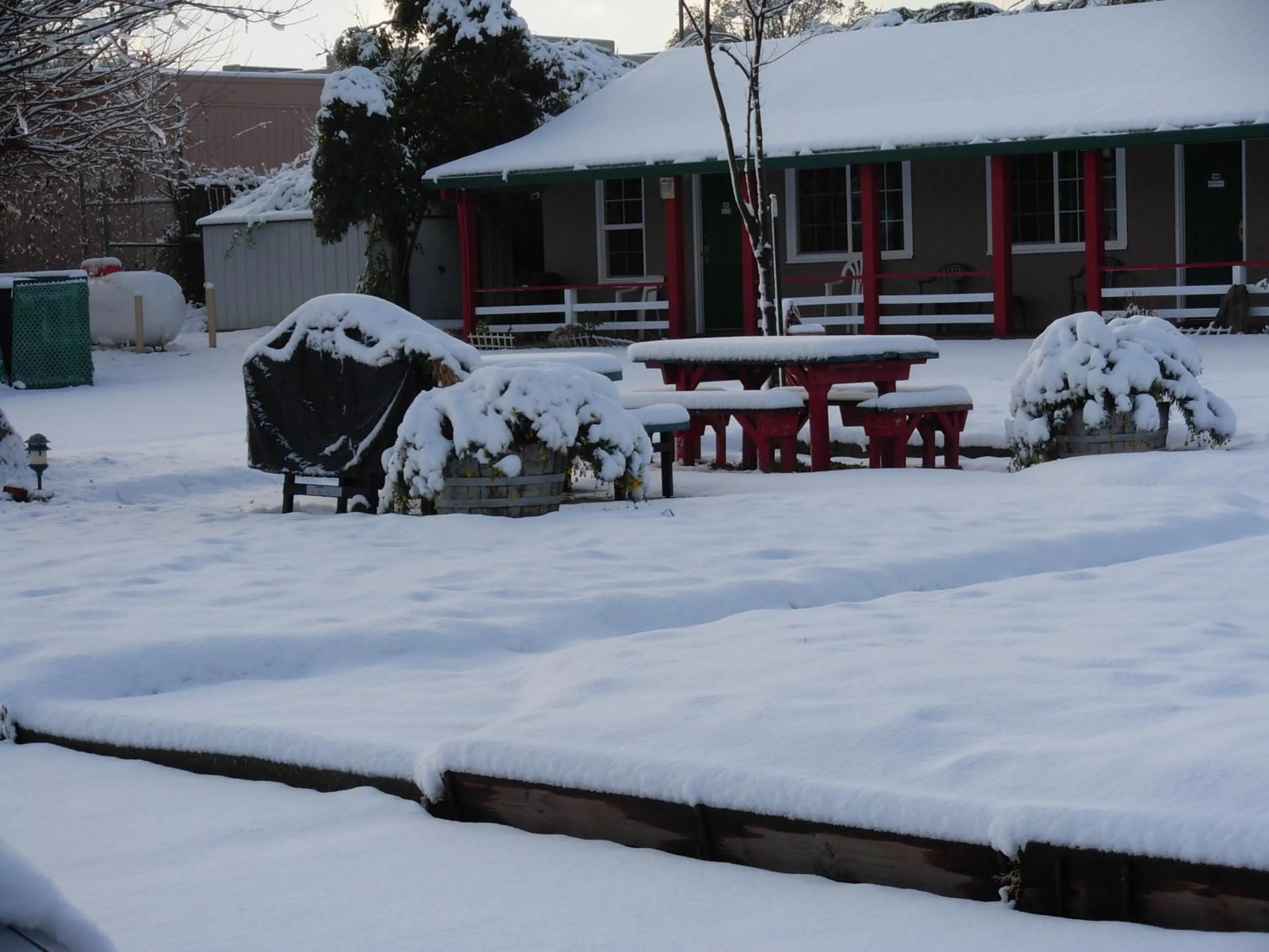 Winter in Jumping Frog Motel