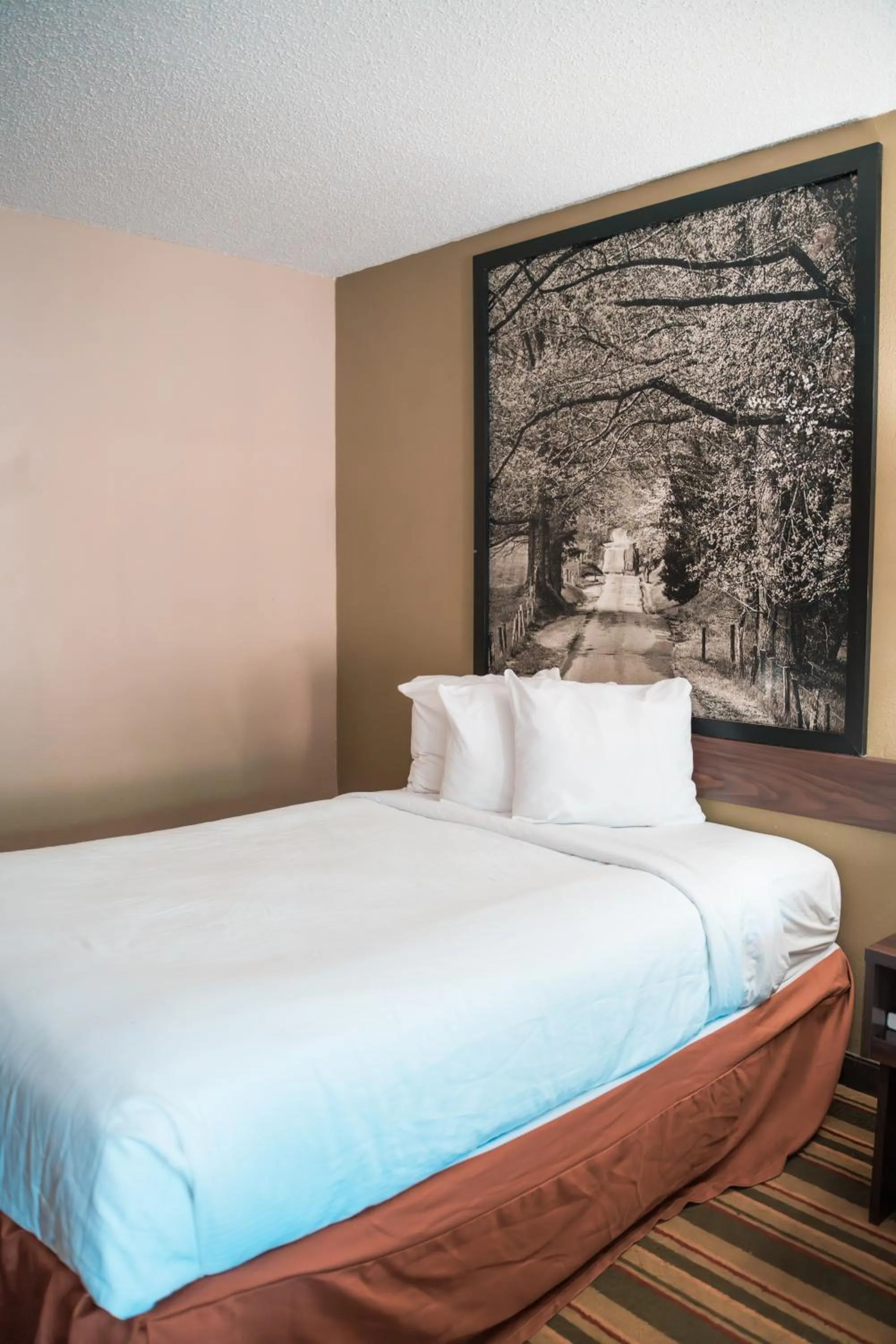 Bed in Super 8 by Wyndham Columbia/Ft. Jackson SC