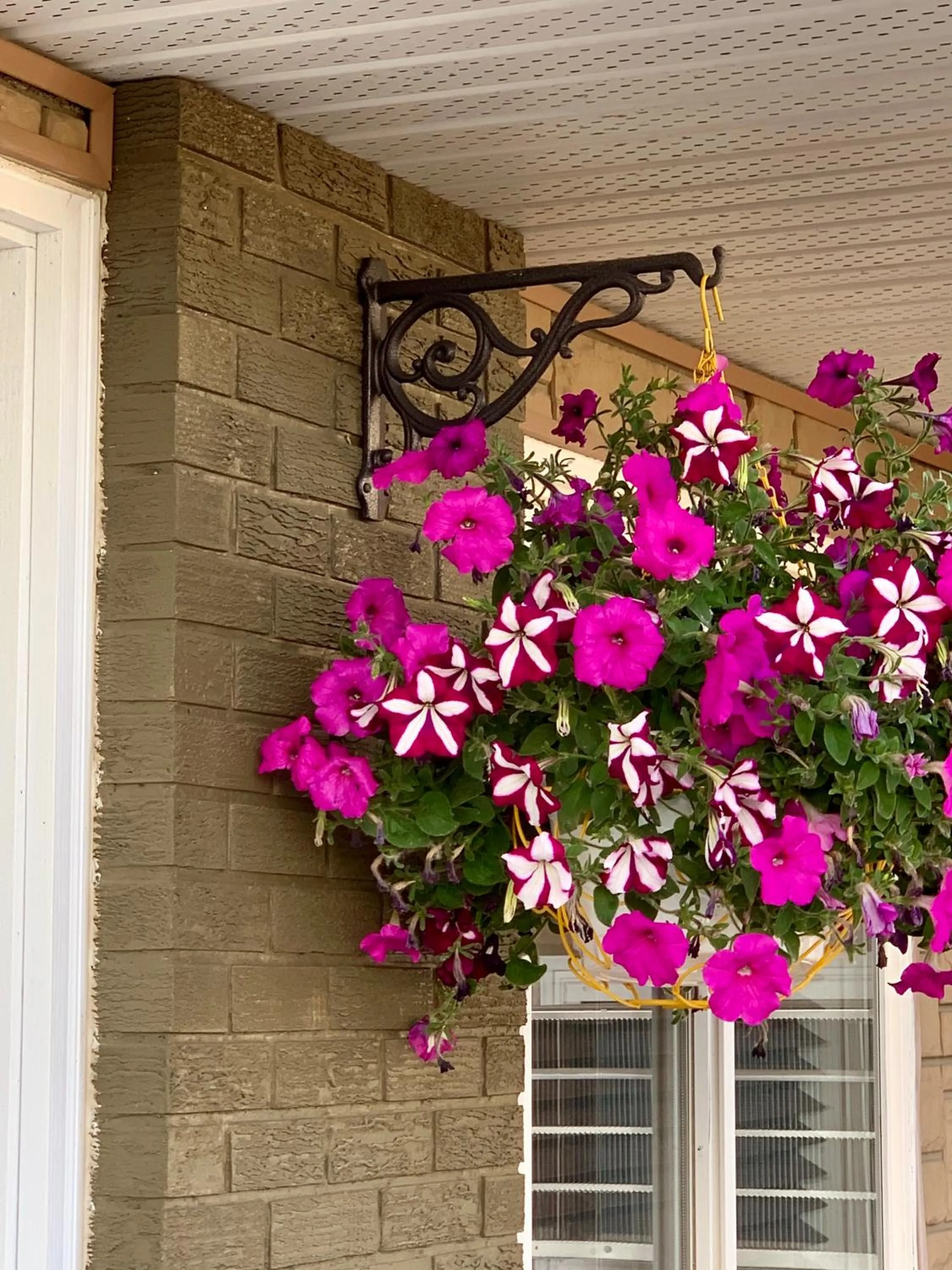 Property building in Westway Inn Motel