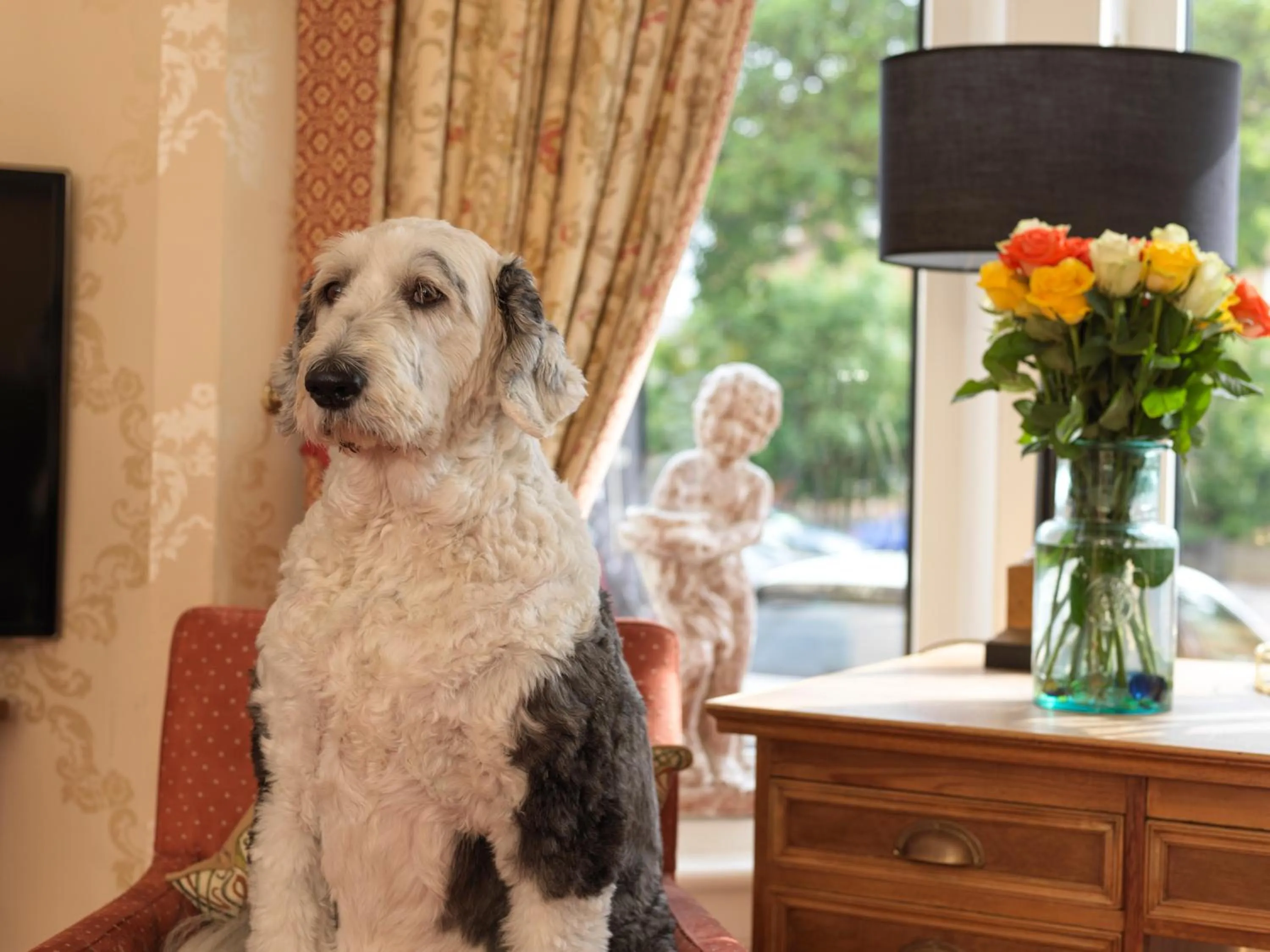 Swimming pool in Howarth House