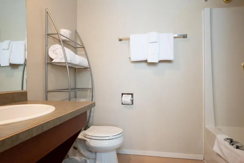 Bathroom in The Vance Creek Hotel & Conference Centre