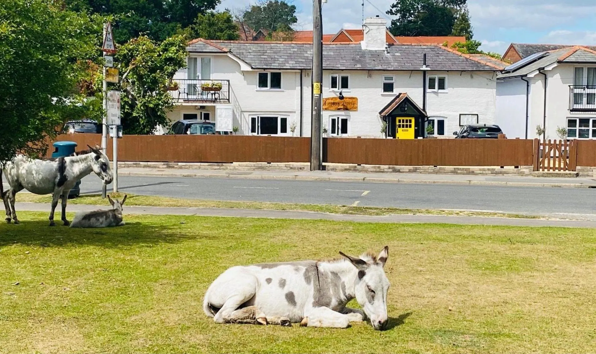 Property building in Cottage Lodge Hotel