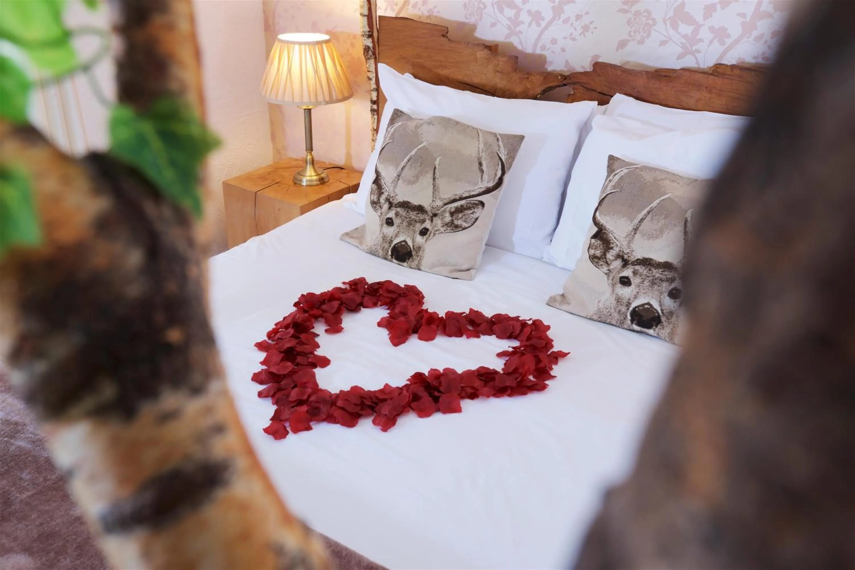 Bedroom, Bed in Cottage Lodge Hotel