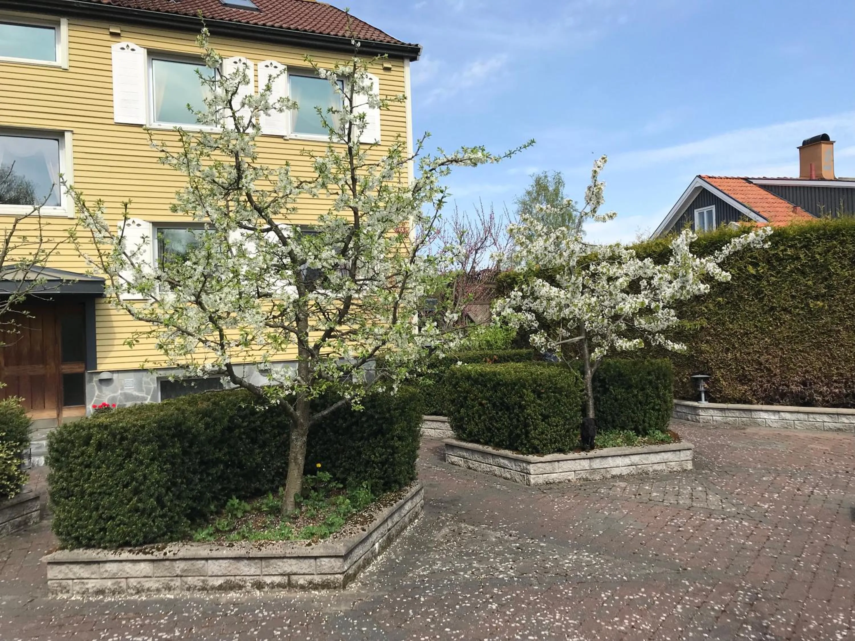 Shower in BoSmart Apartments