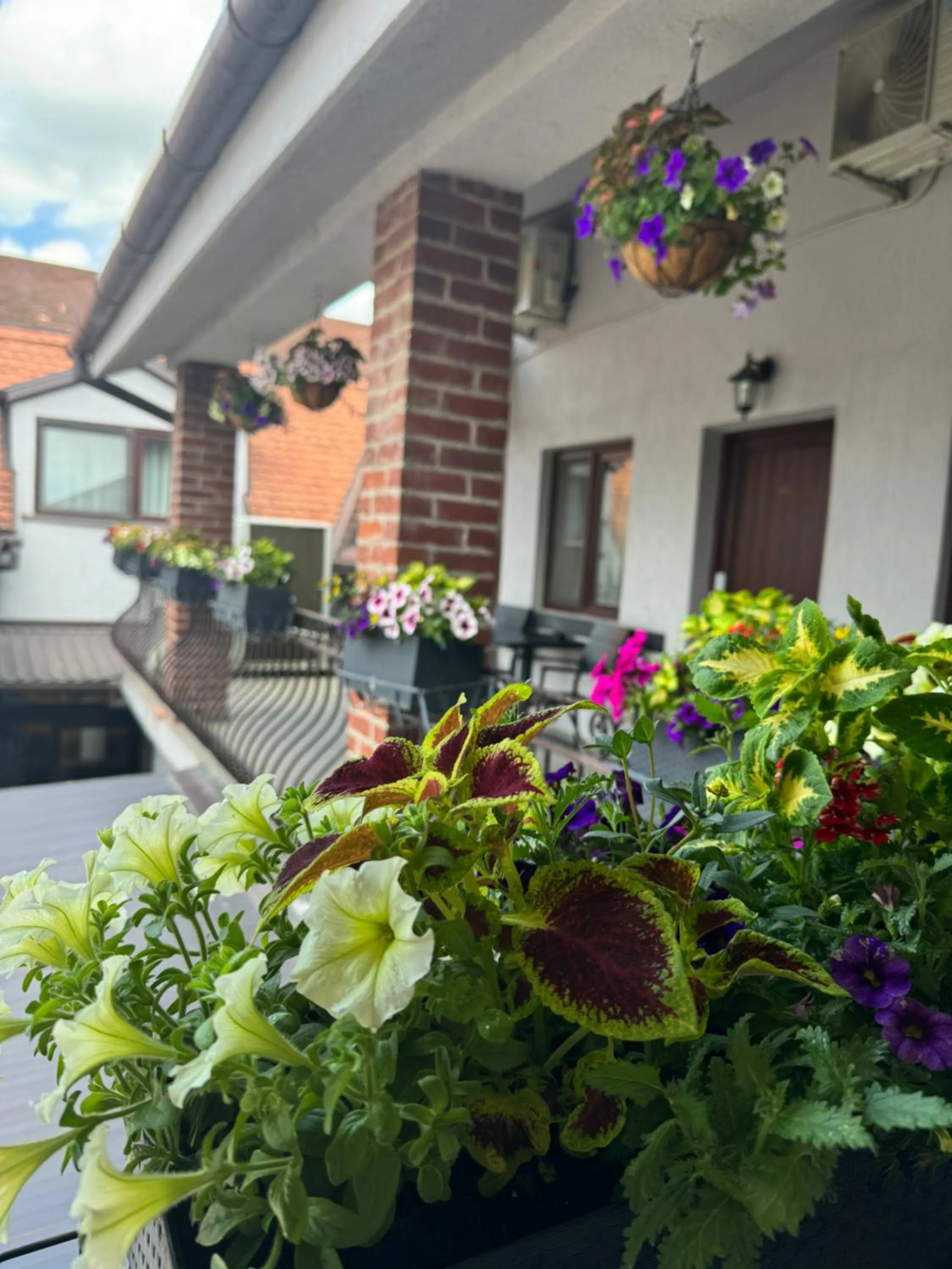 Casa Mignon