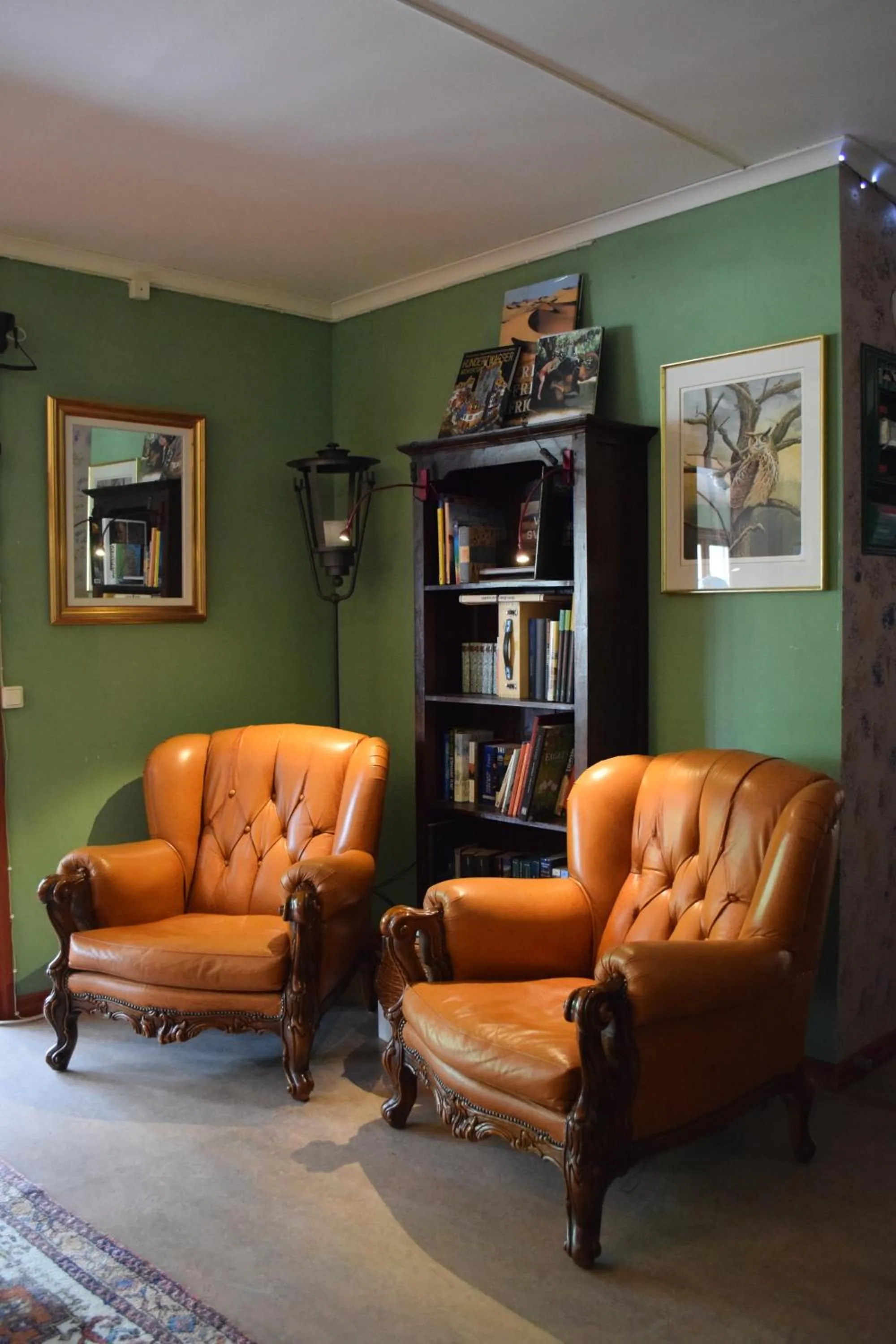 Library in Tingvall B&B Eco-Lodge