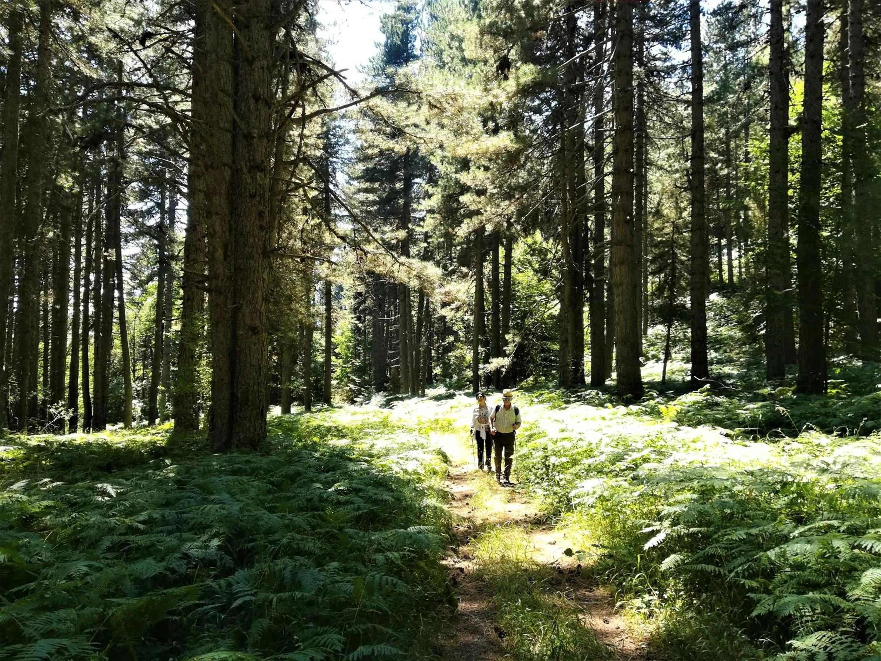 Nearby landmark in La dimora di Radha B&B Centro Olistico