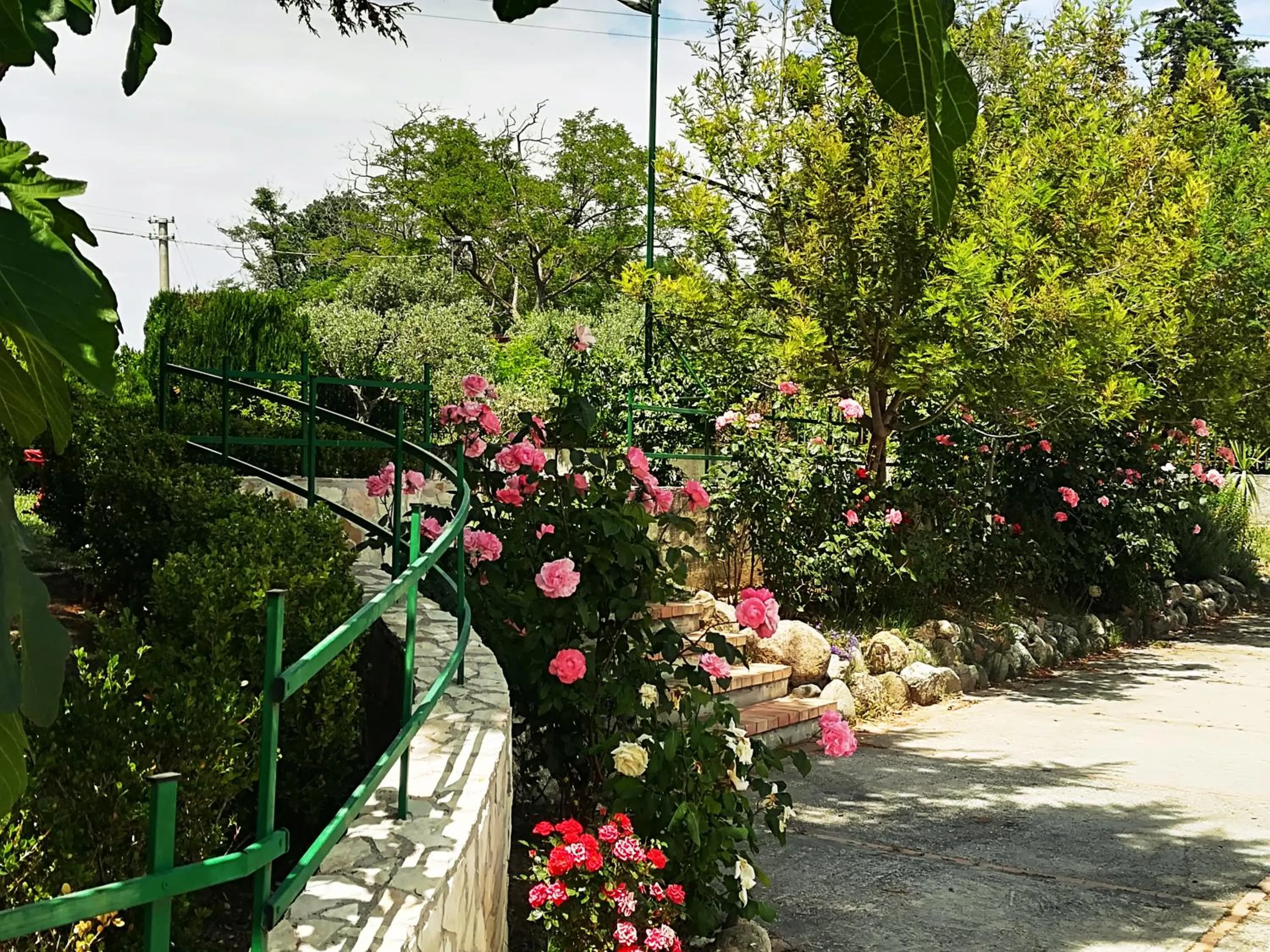 Garden view in La dimora di Radha B&B Centro Olistico
