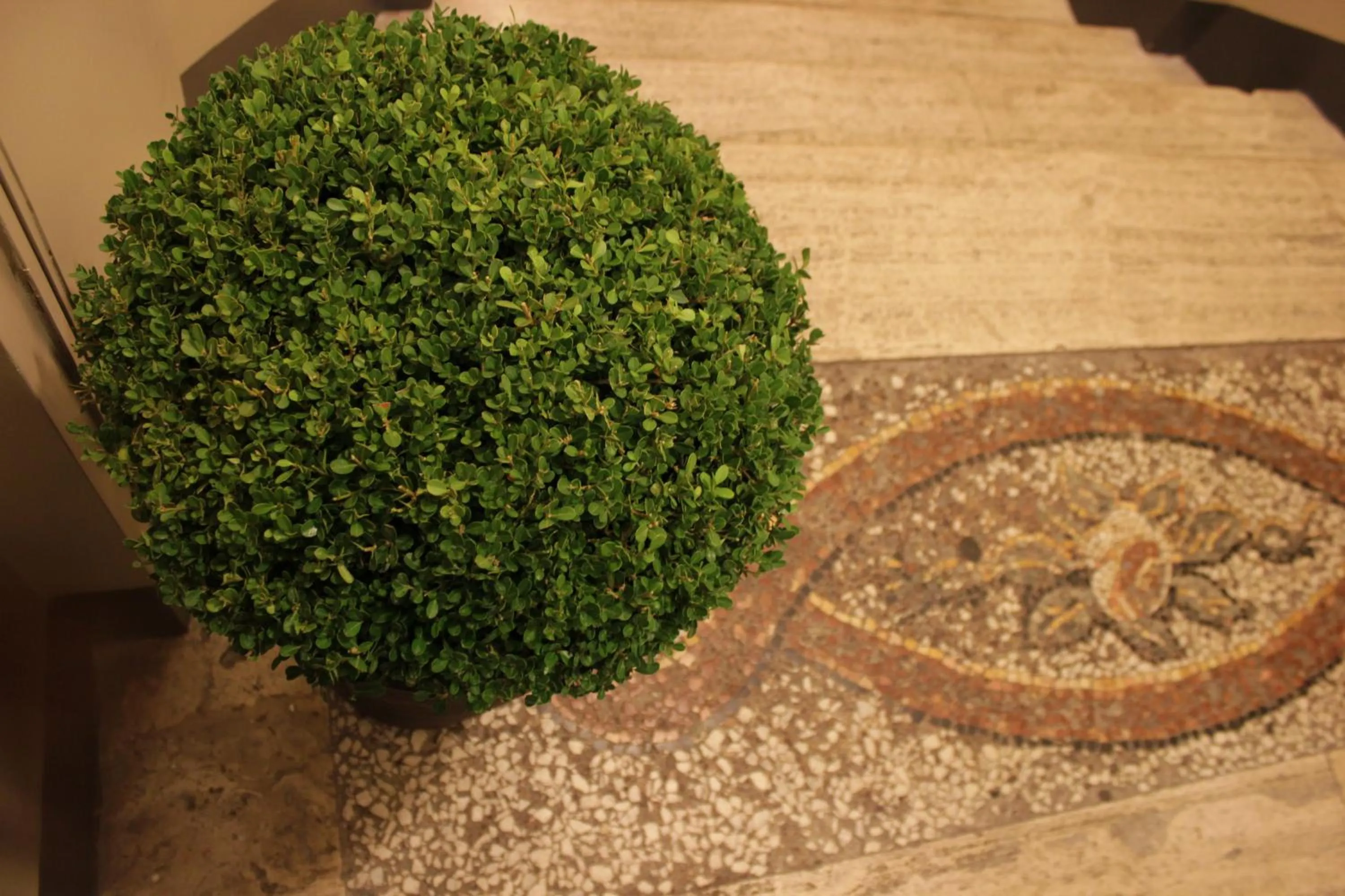 Decorative detail in MILLINA SUITES IN NAVONA