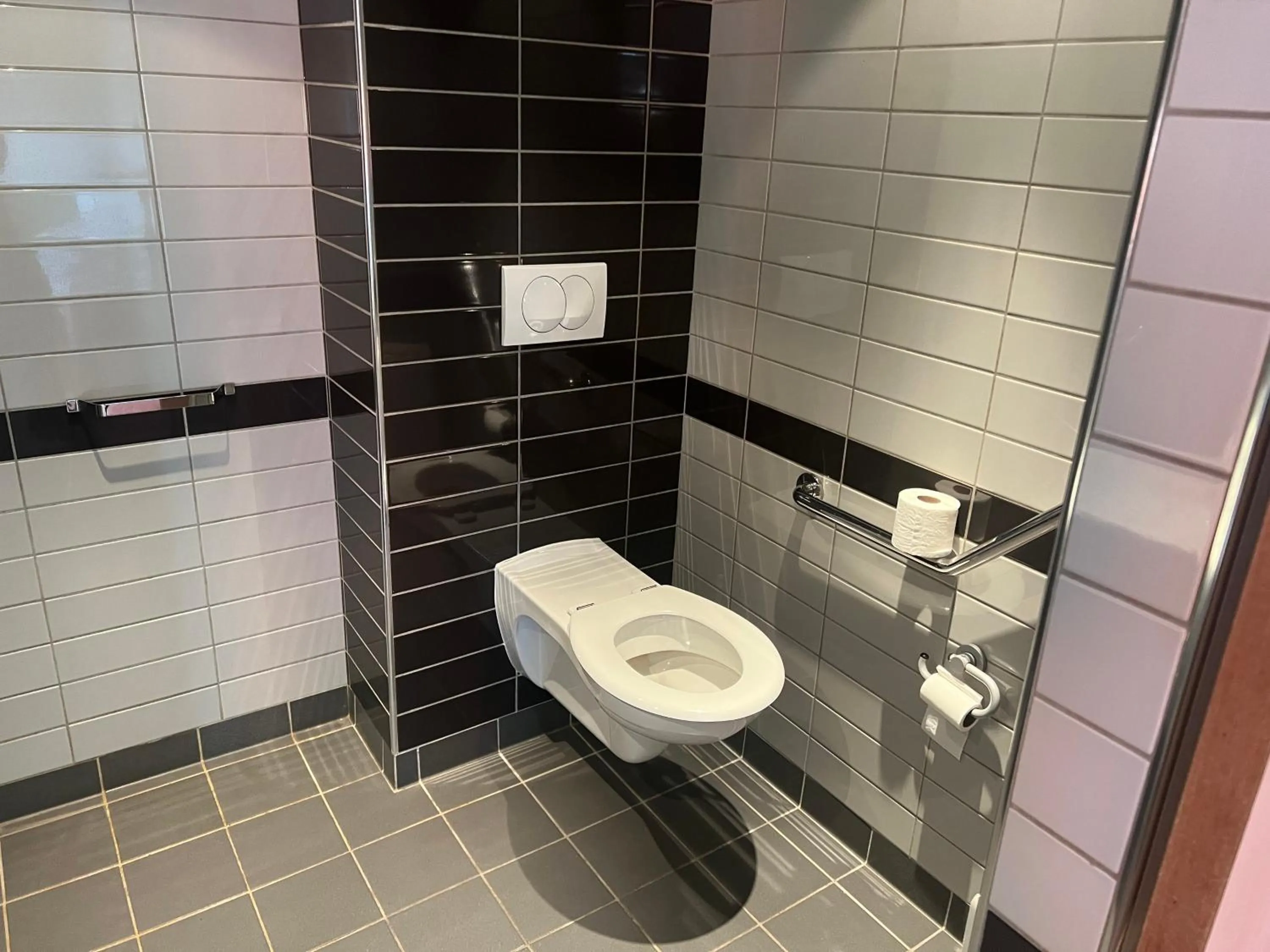 Toilet in Ibis Budget Roanne Hôtel