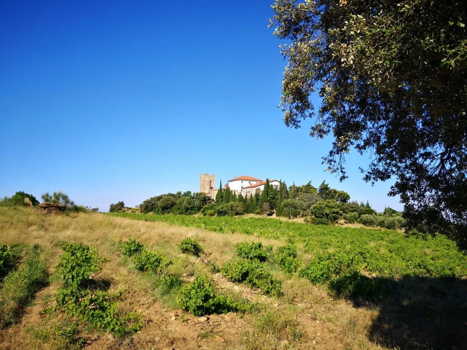 Natural landscape in Casa Mia