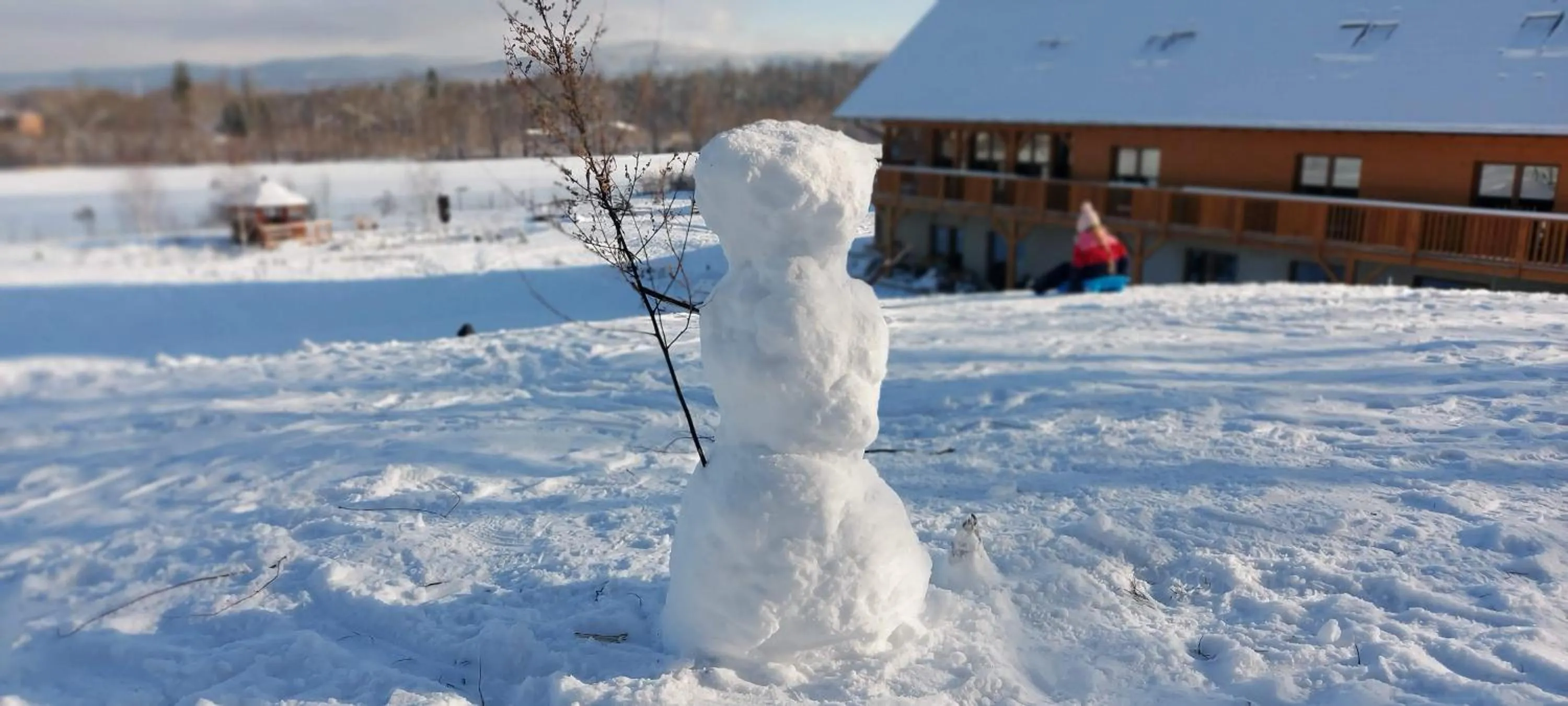 Property building in Dom z Bali