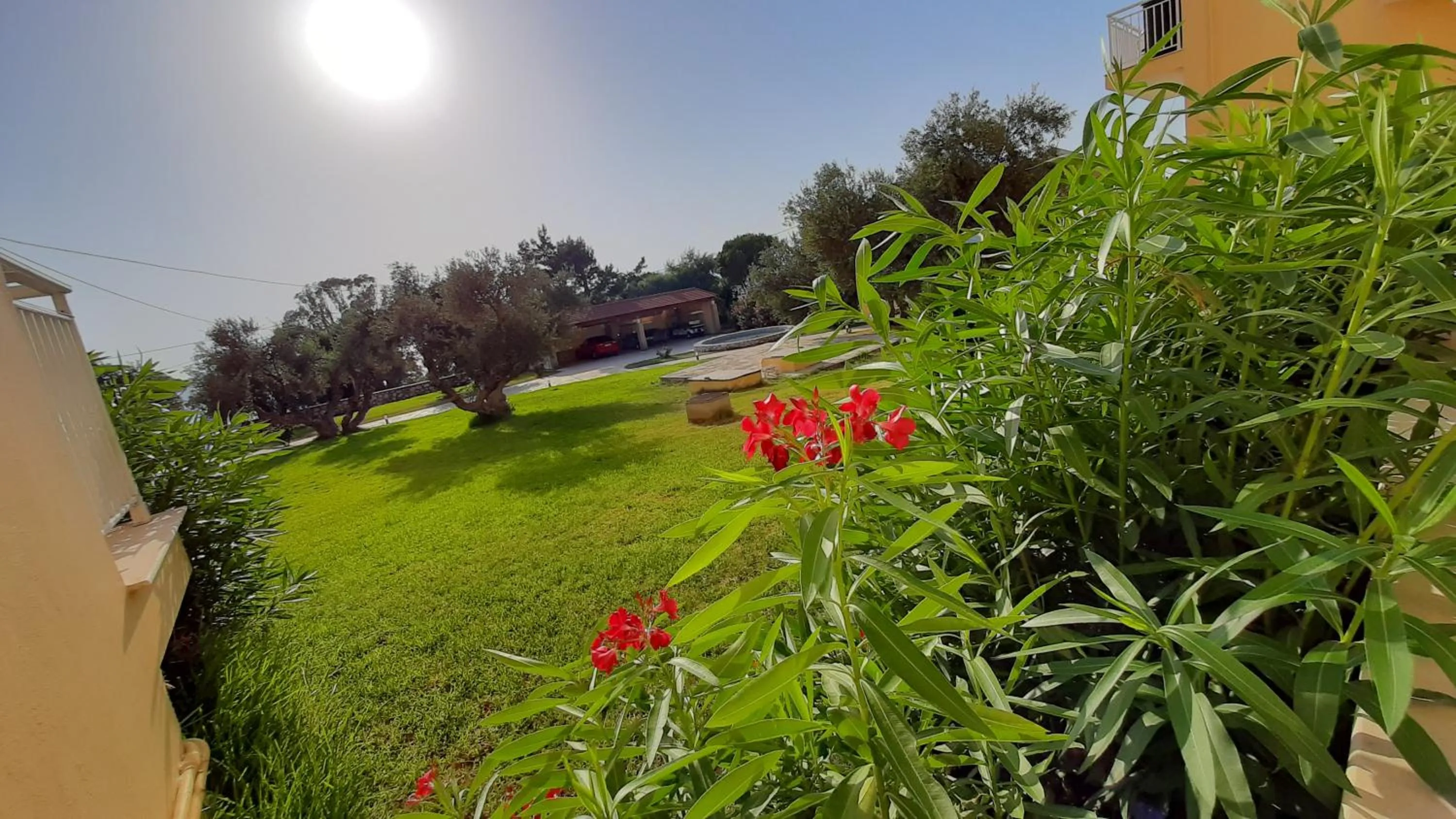 Garden view in Lassi Hotel