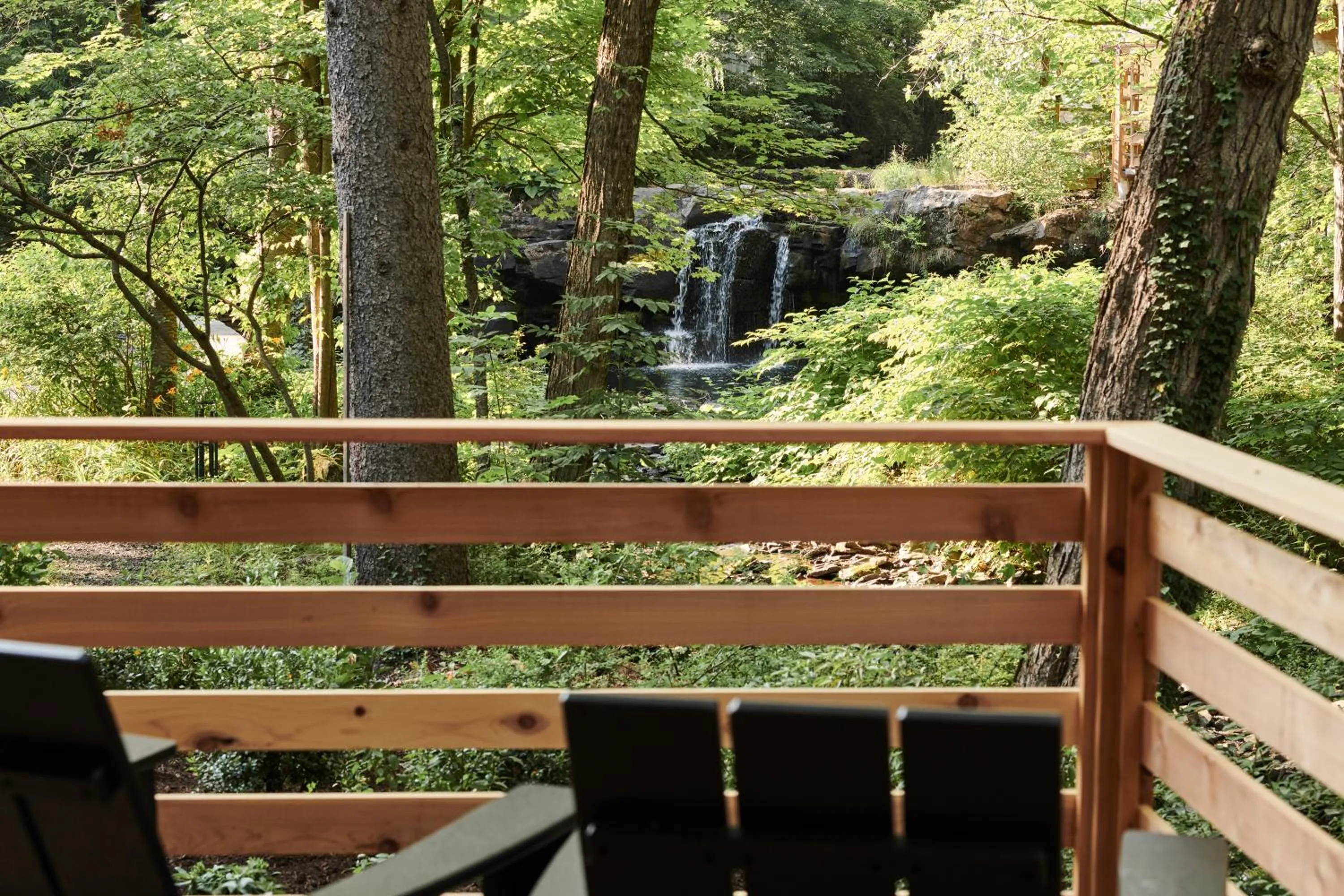 Natural landscape in Woodstock Way Hotel