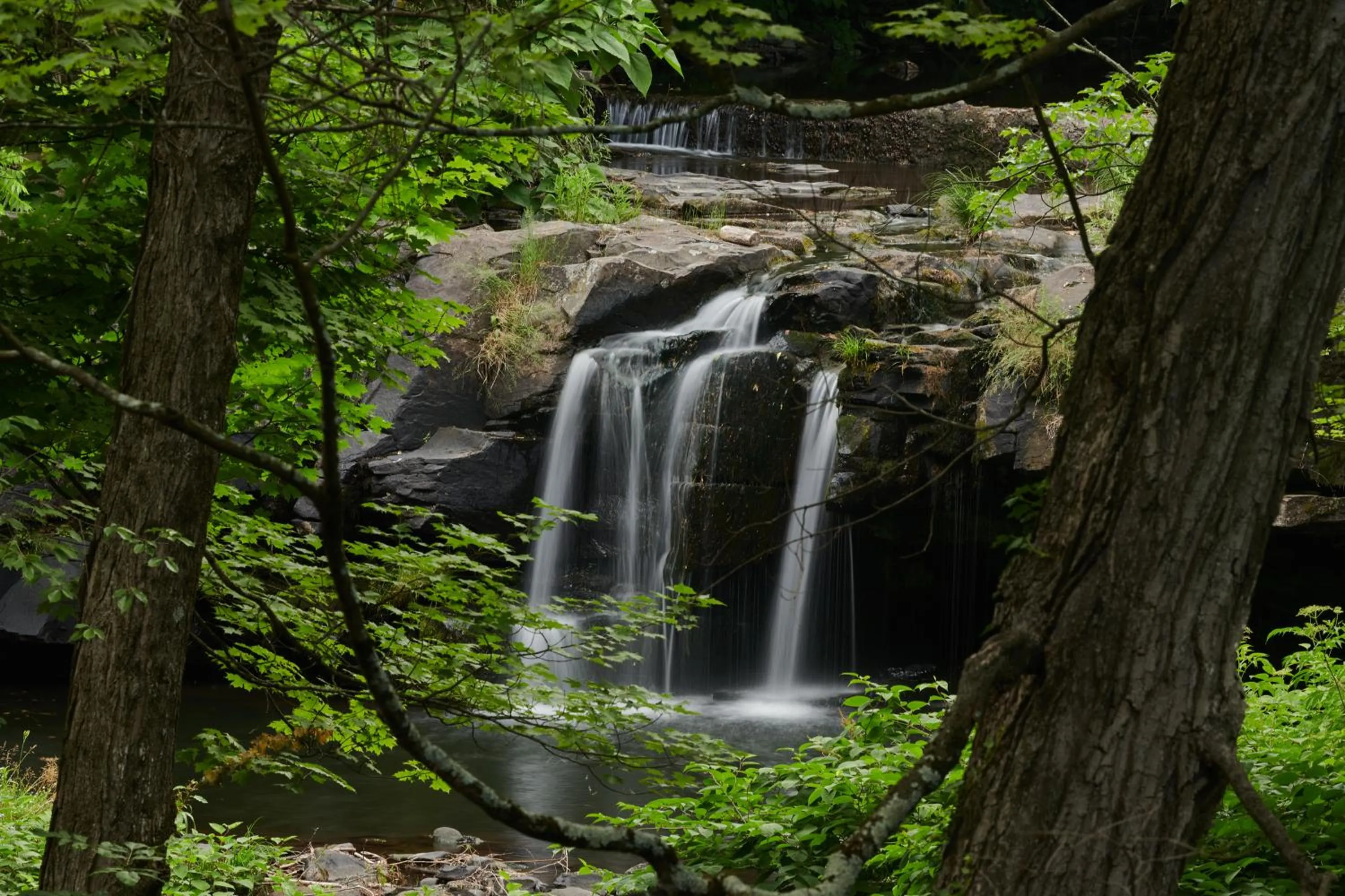 Natural landscape in Woodstock Way Hotel
