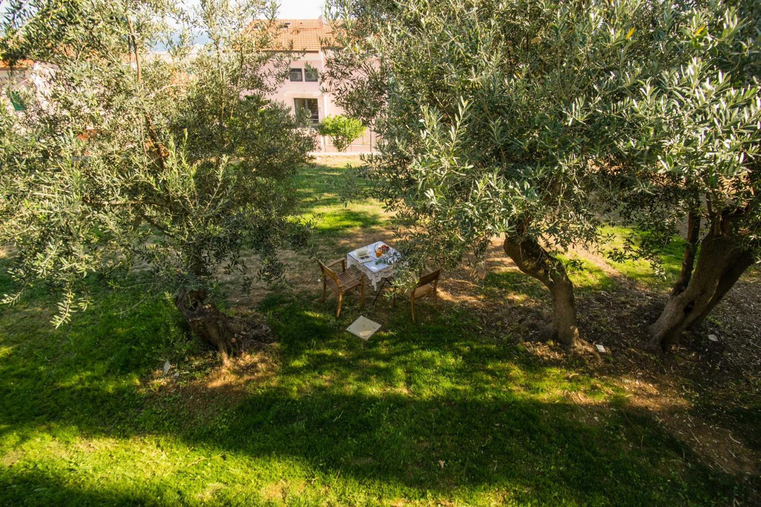 Garden in BB CÀ DE MÂ