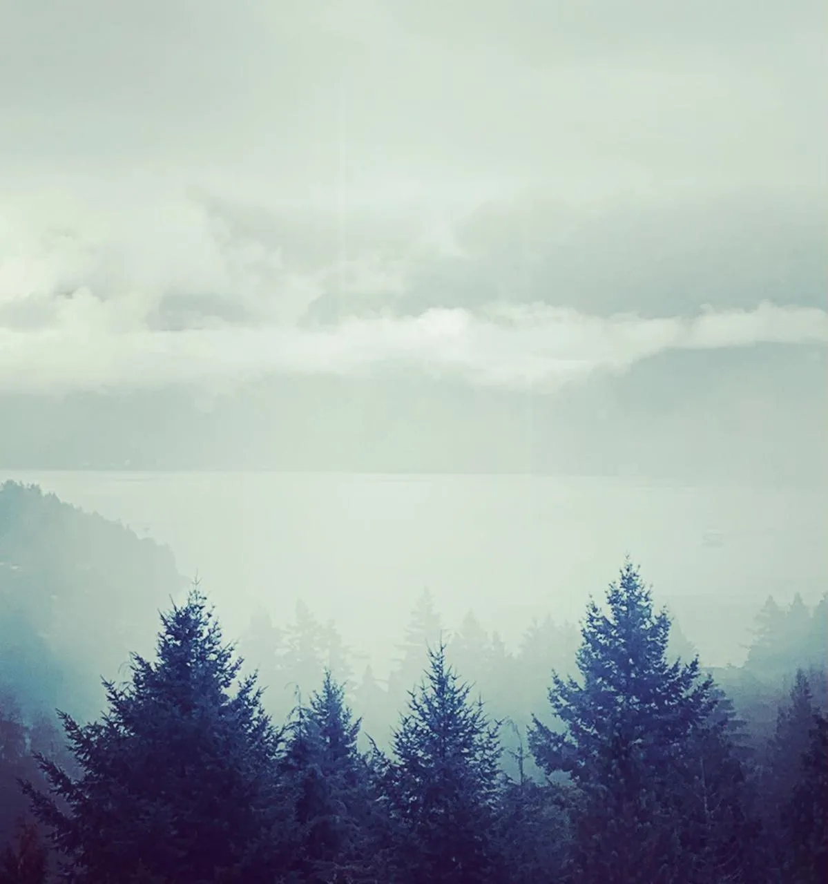 Artisan Suites on Bowen