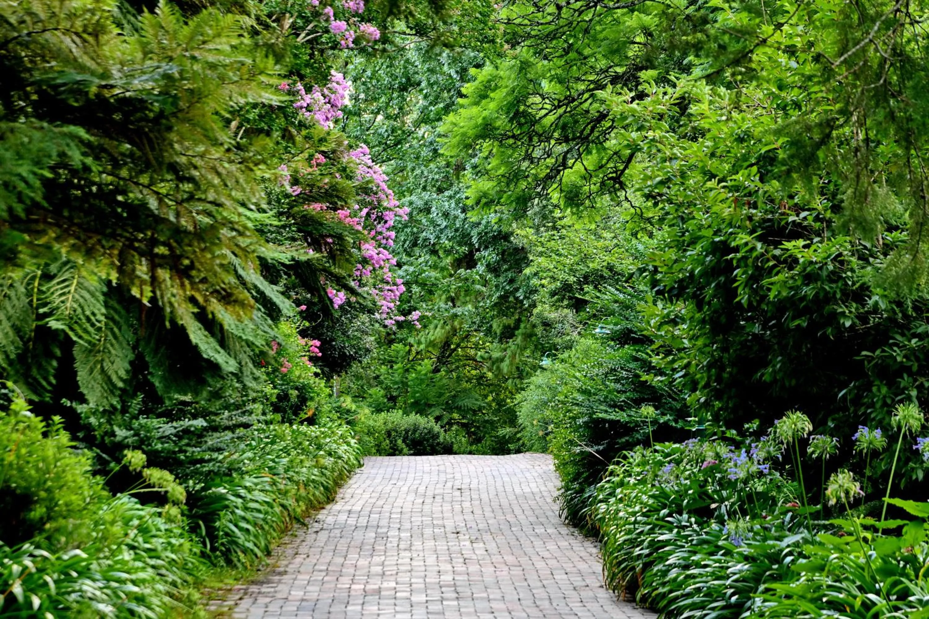 Champagne Castle Hotel