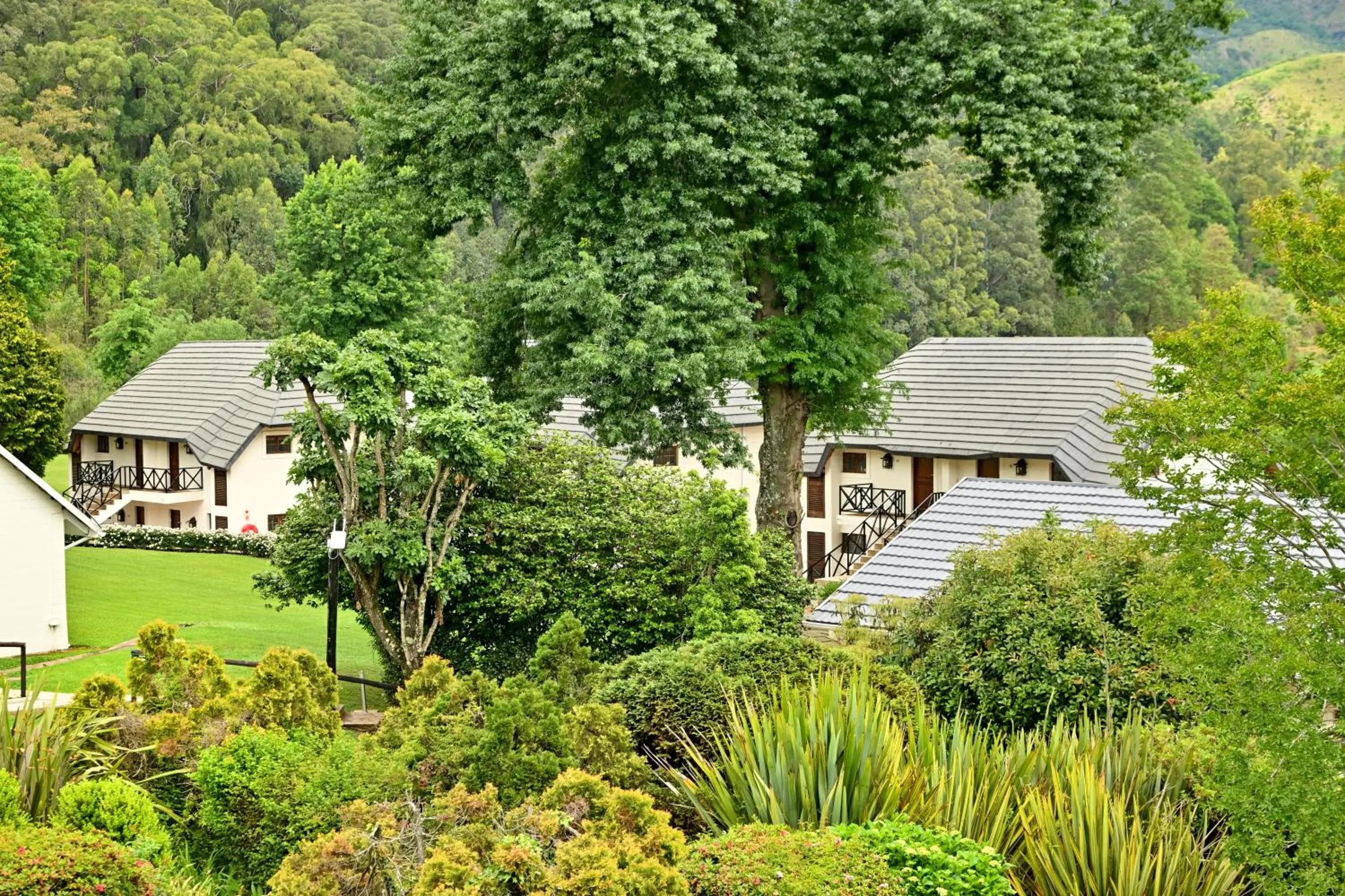 Deluxe Double or Twin Room with Mountain View - single occupancy in Champagne Castle Hotel Deluxe Double or Twin Room with Mountain View - single occupancy in Champagne Castle Hotel