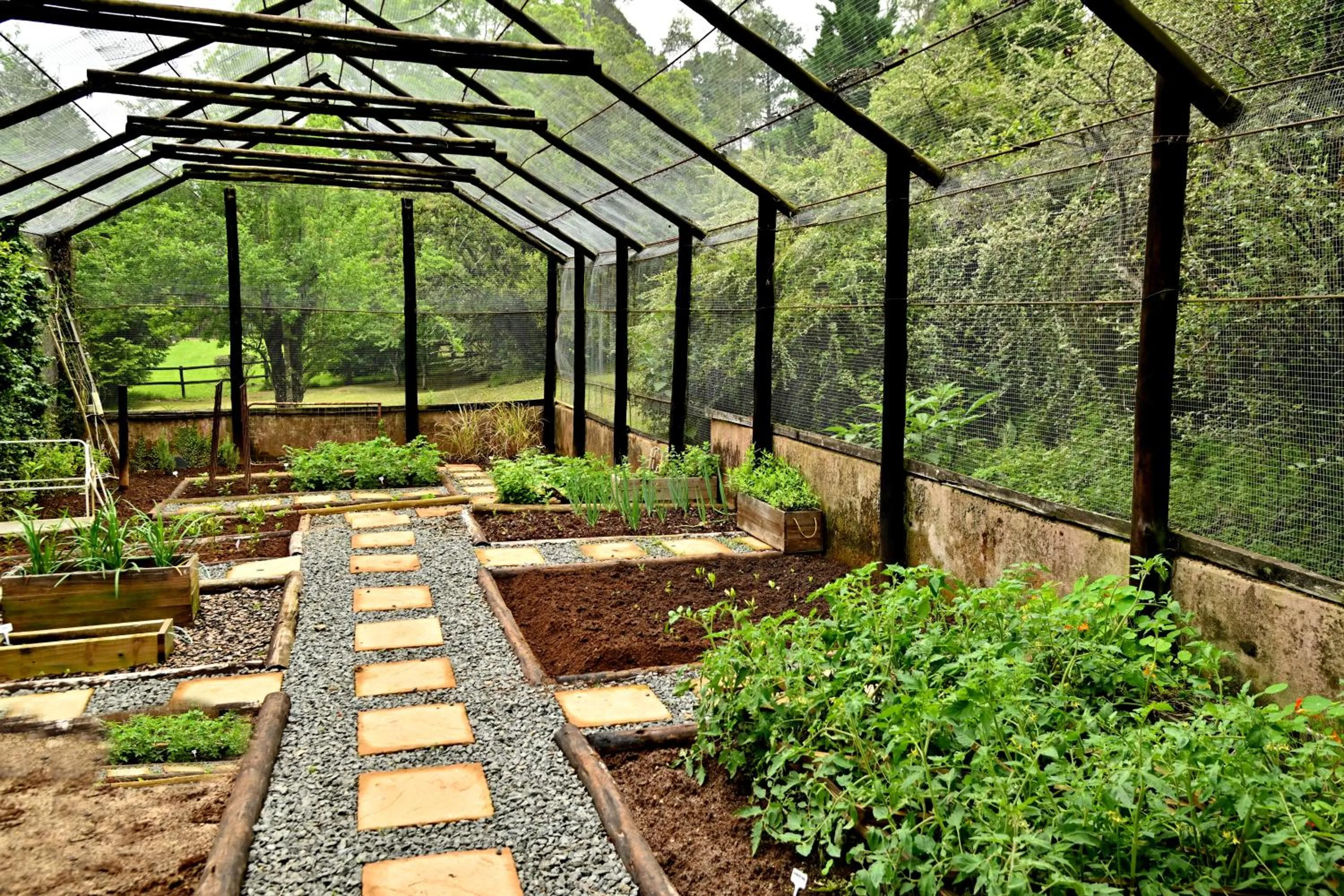 Champagne Castle Hotel