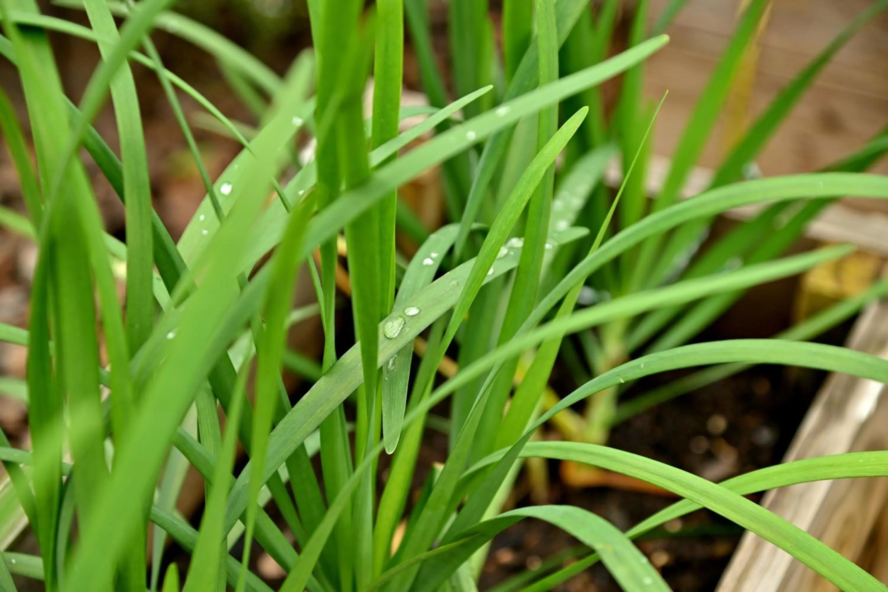 Champagne Castle Hotel