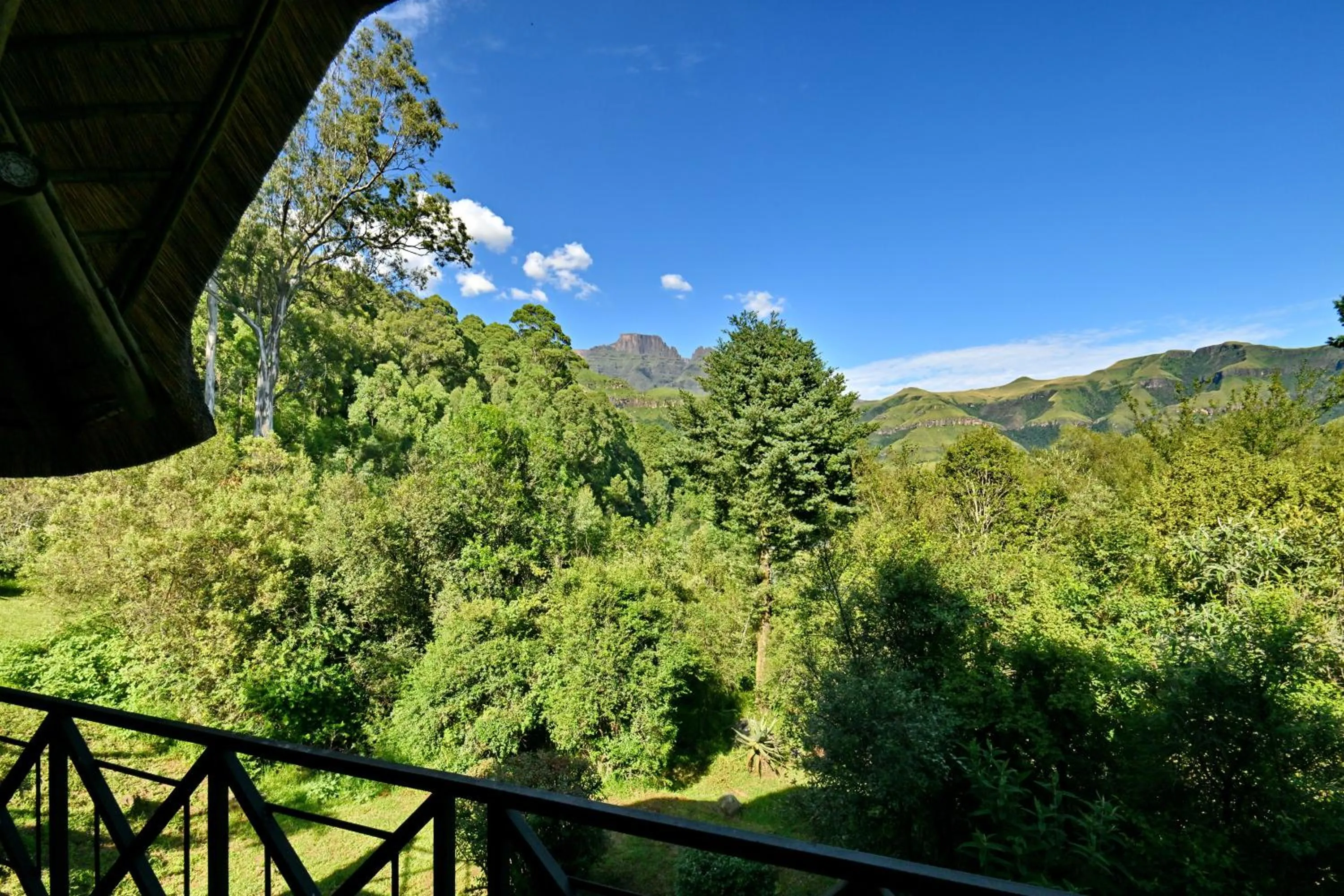 Champagne Castle Hotel