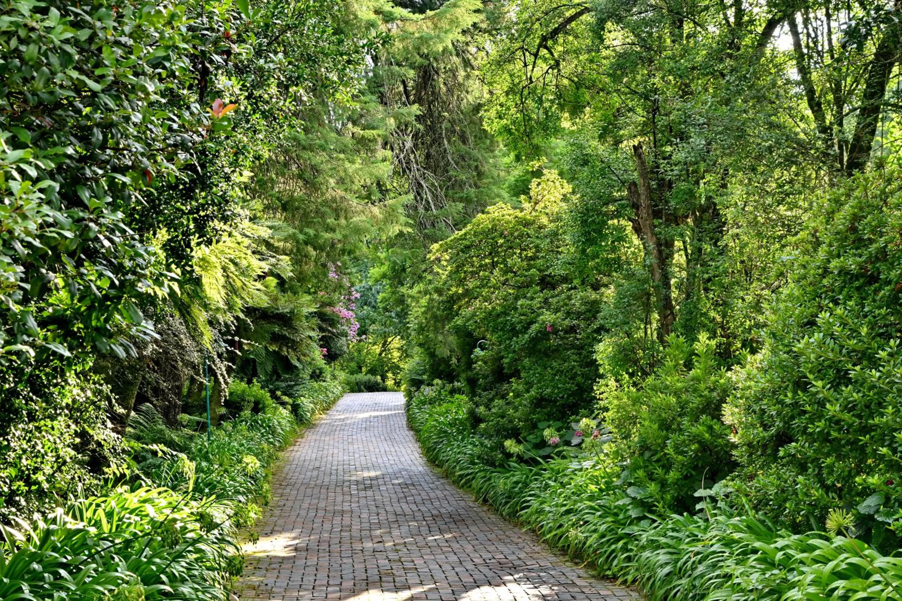 Champagne Castle Hotel