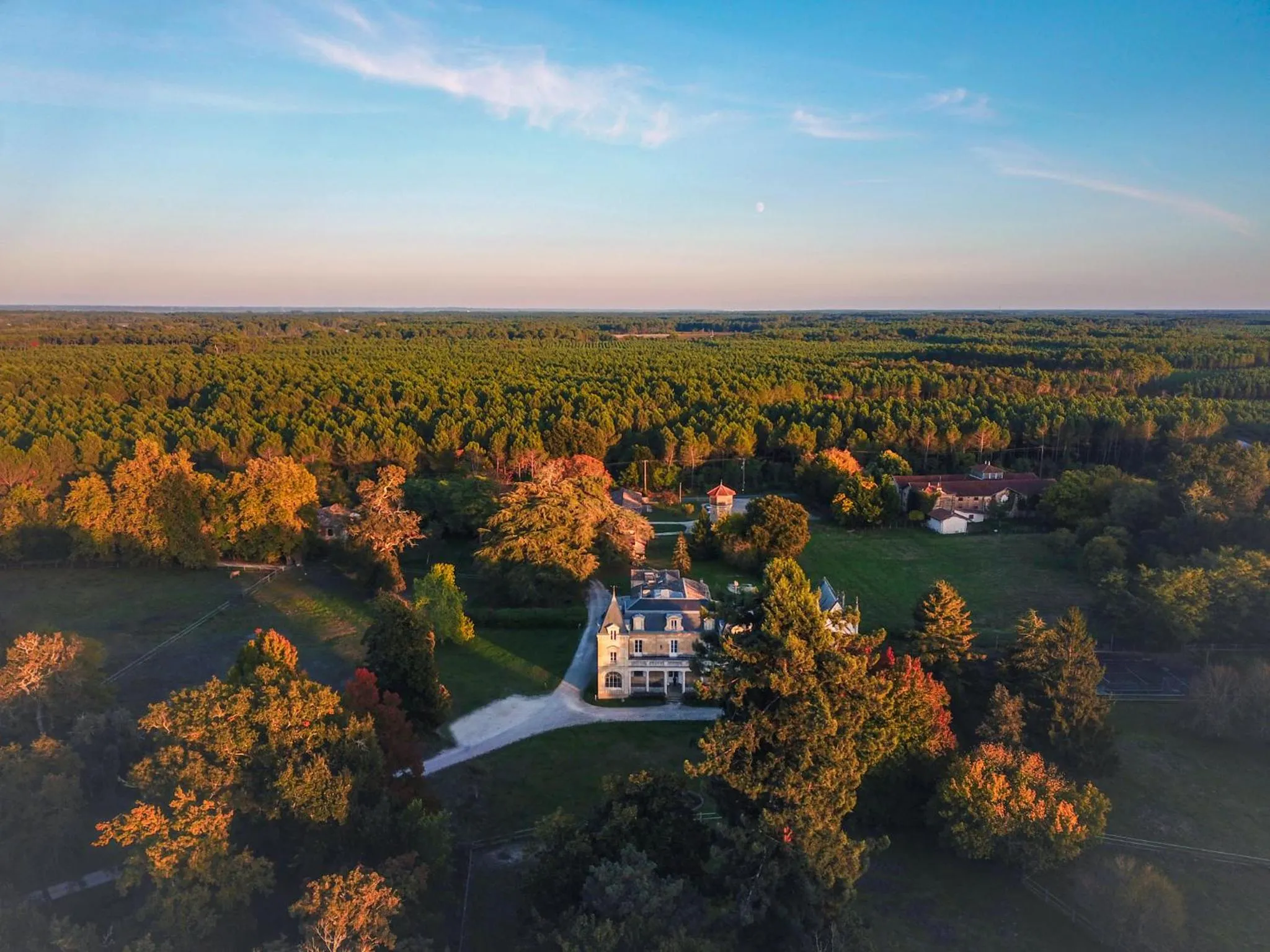 Bird's eye view in Château Léognan, Domaine viticole - proche Bordeaux