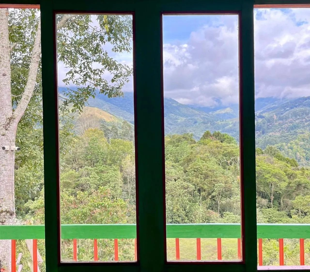 Hostal Bamboo