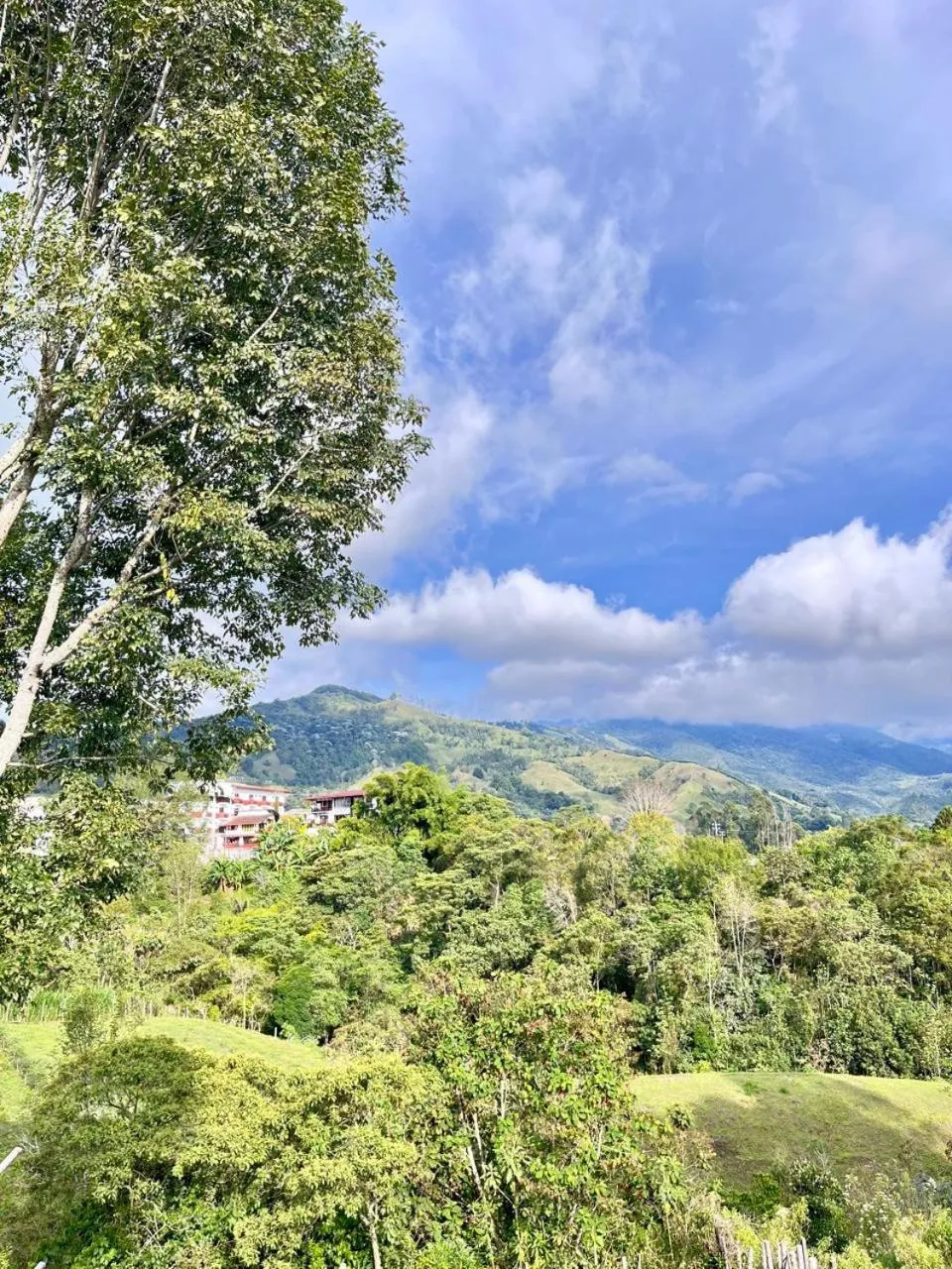 Hostal Bamboo