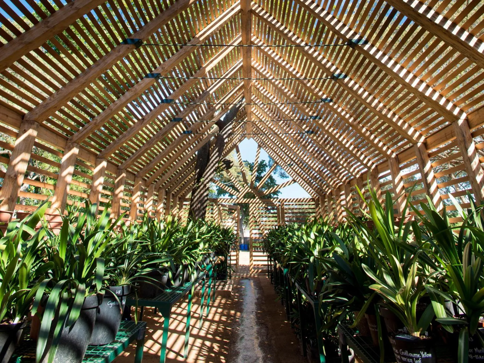 Day in Babylonstoren