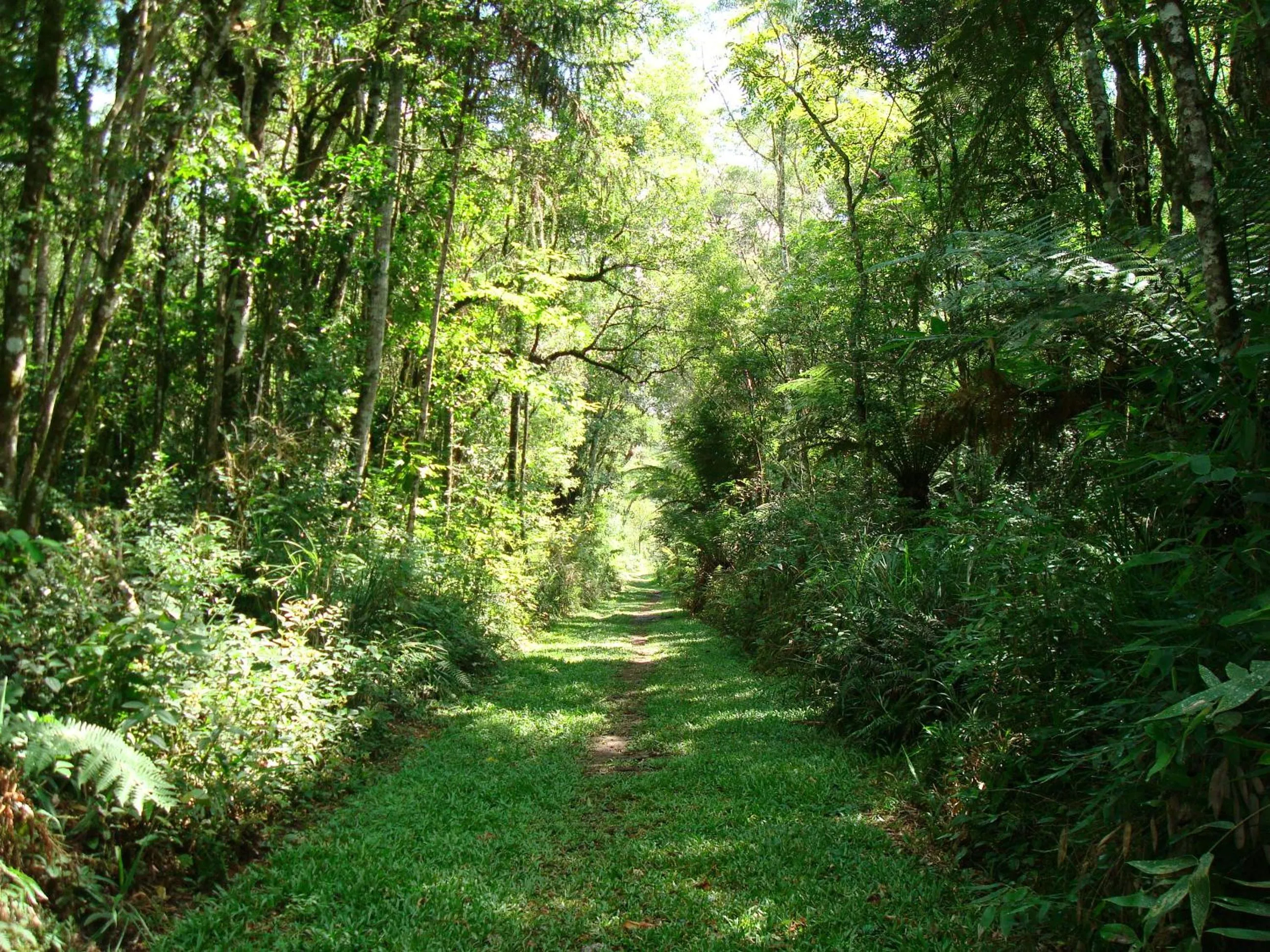 Hiking in Ózera Hotel Fazenda