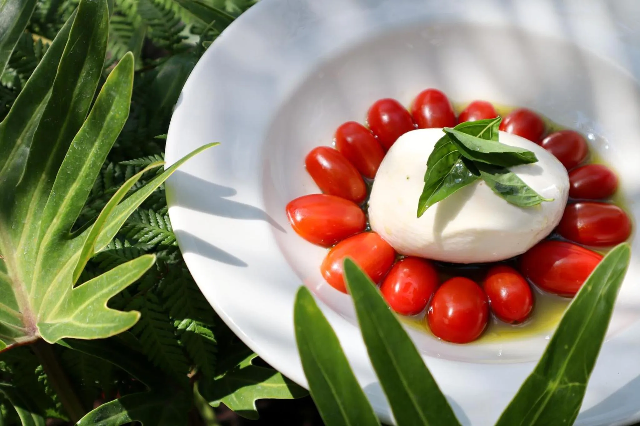 Restaurant/places to eat in Hosteria Las Quintas Hotel Restaurante Bar