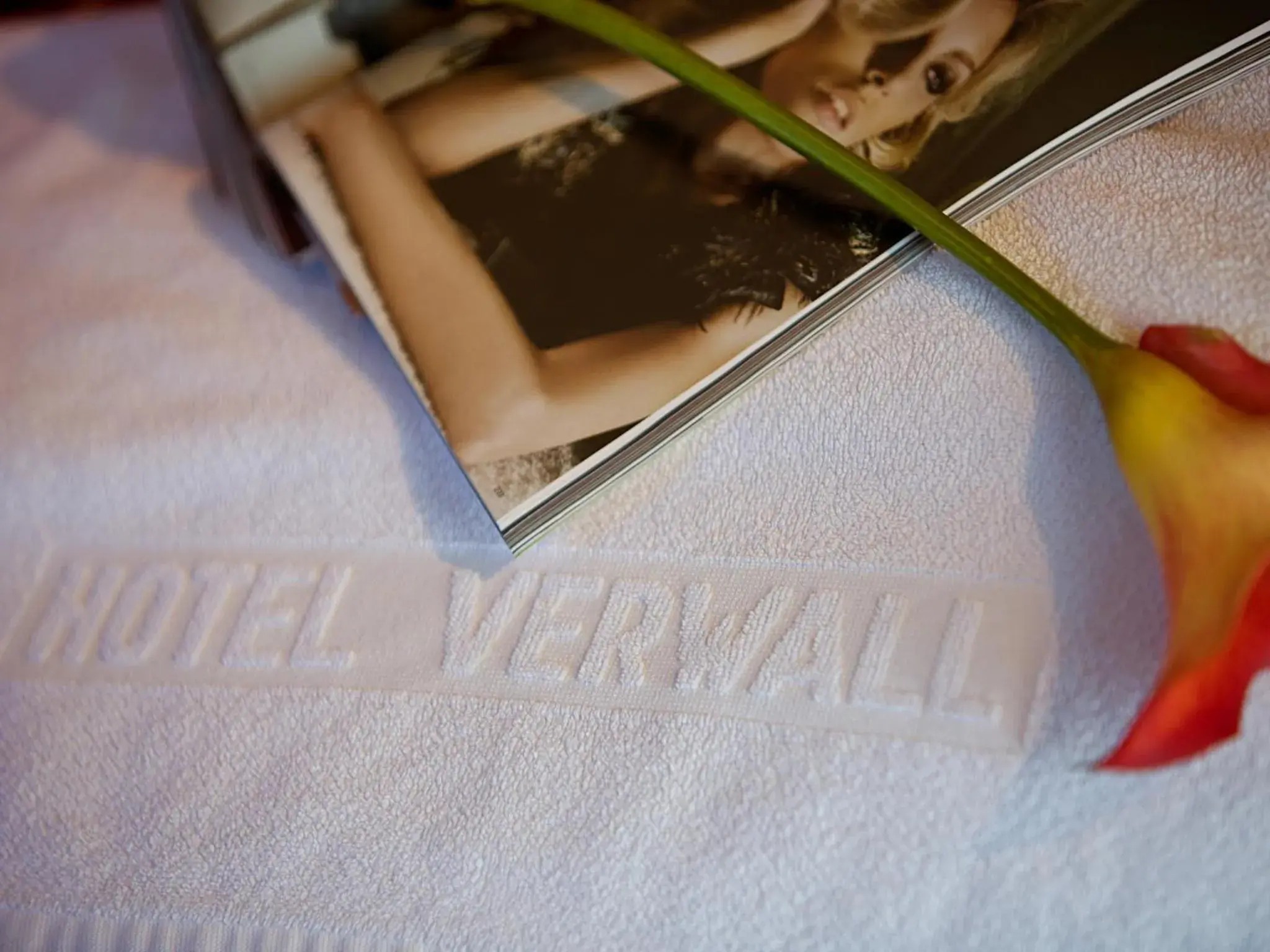 Decorative detail in Hotel Verwall