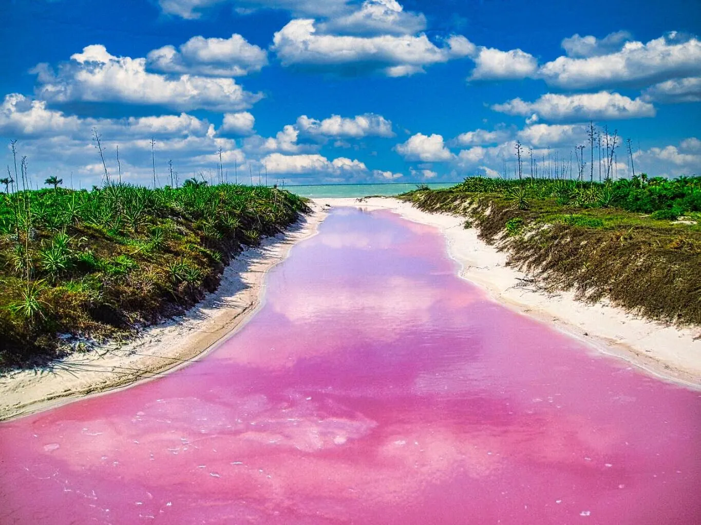 Hacienda Antigua Villa, 50m from sandy Beach