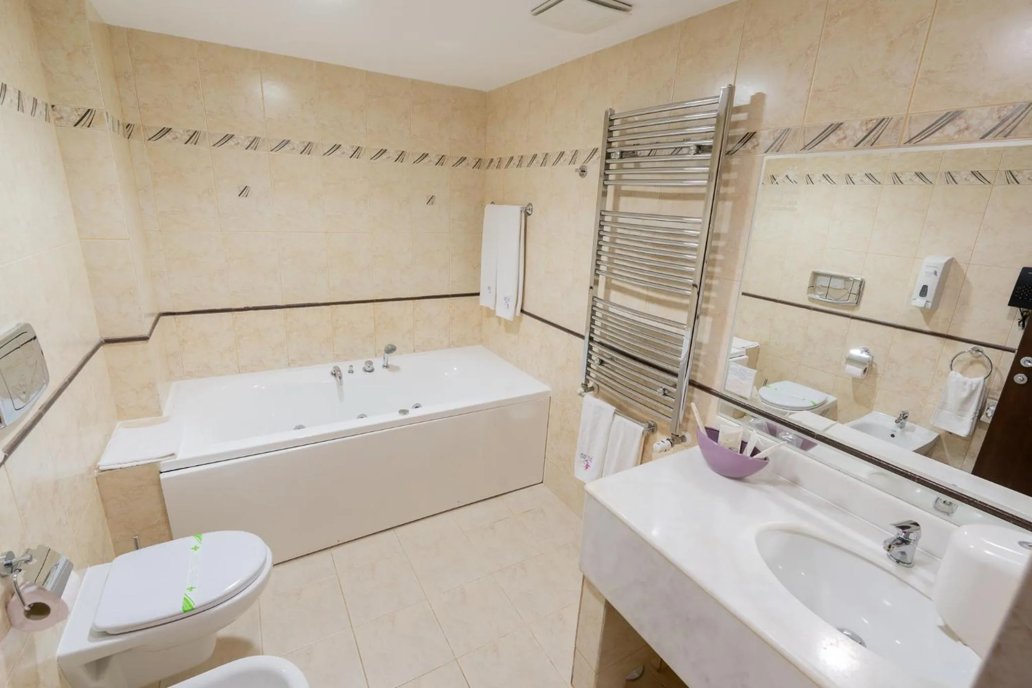 Shower in Hotel Dorna