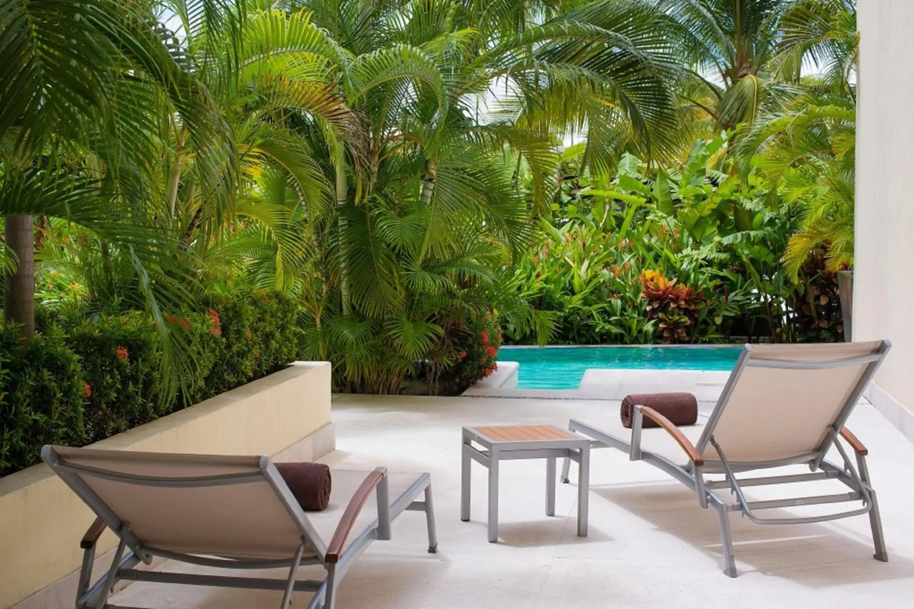 Junior Suite Swimout King in Dreams Vallarta Bay Resorts & Spa - All Inclusive Junior Suite Swimout King in Dreams Vallarta Bay Resorts & Spa - All Inclusive