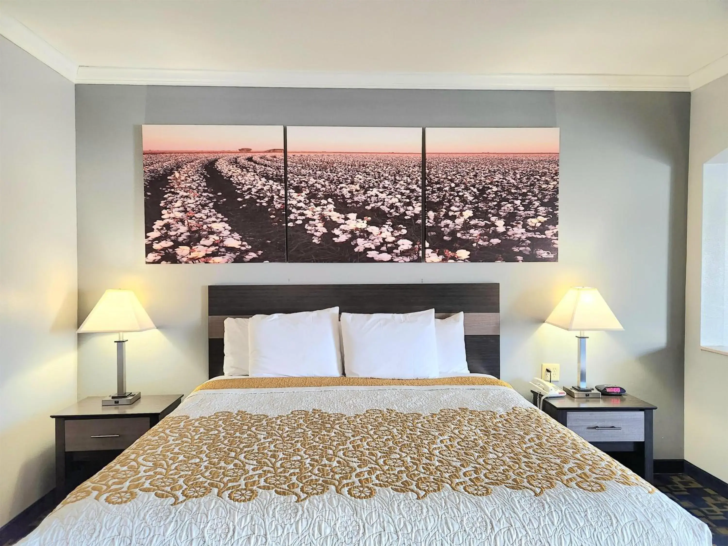 King Room - single occupancy - Smoking in Days Inn by Wyndham Robstown King Room - single occupancy - Smoking in Days Inn by Wyndham Robstown