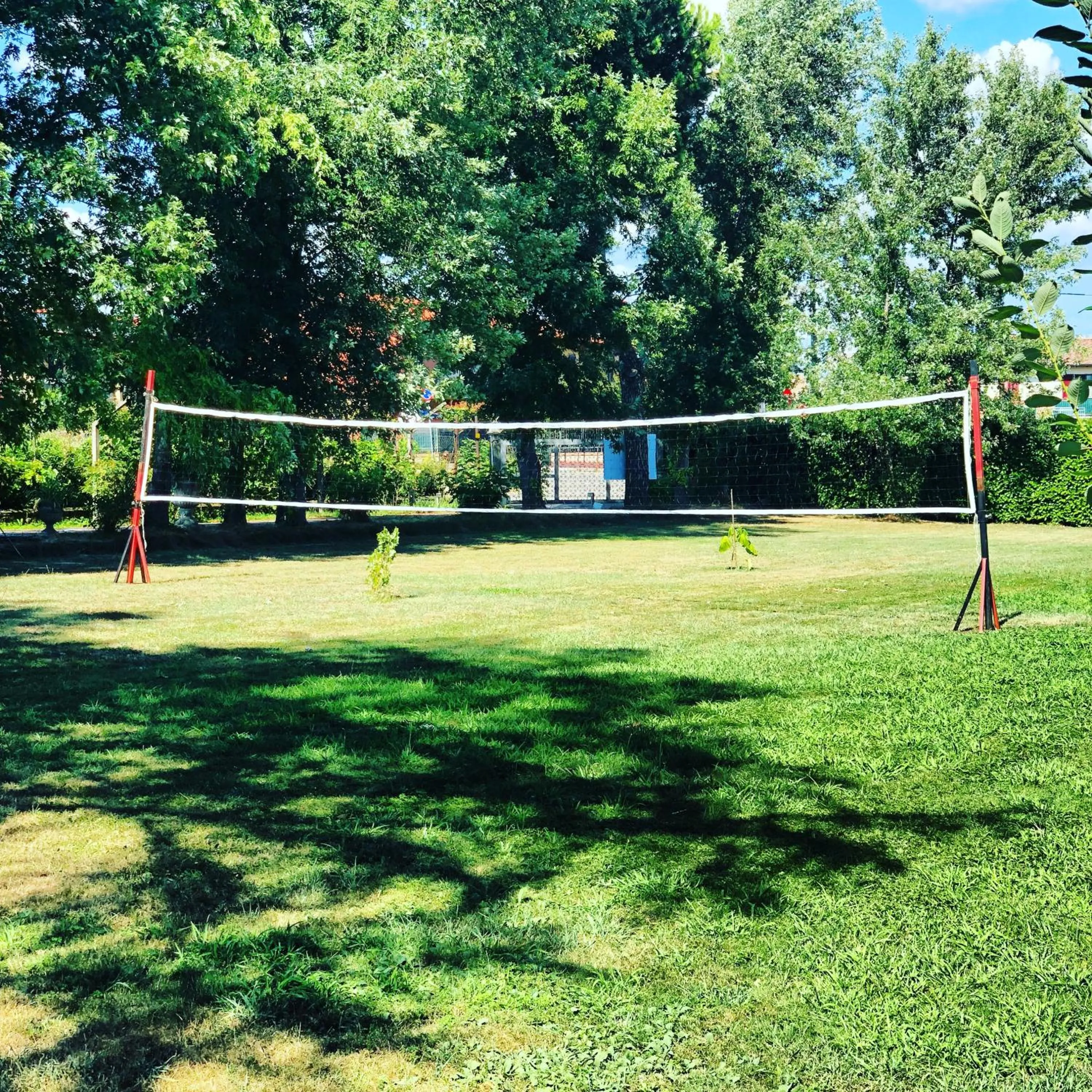 Activities in B&B Family First