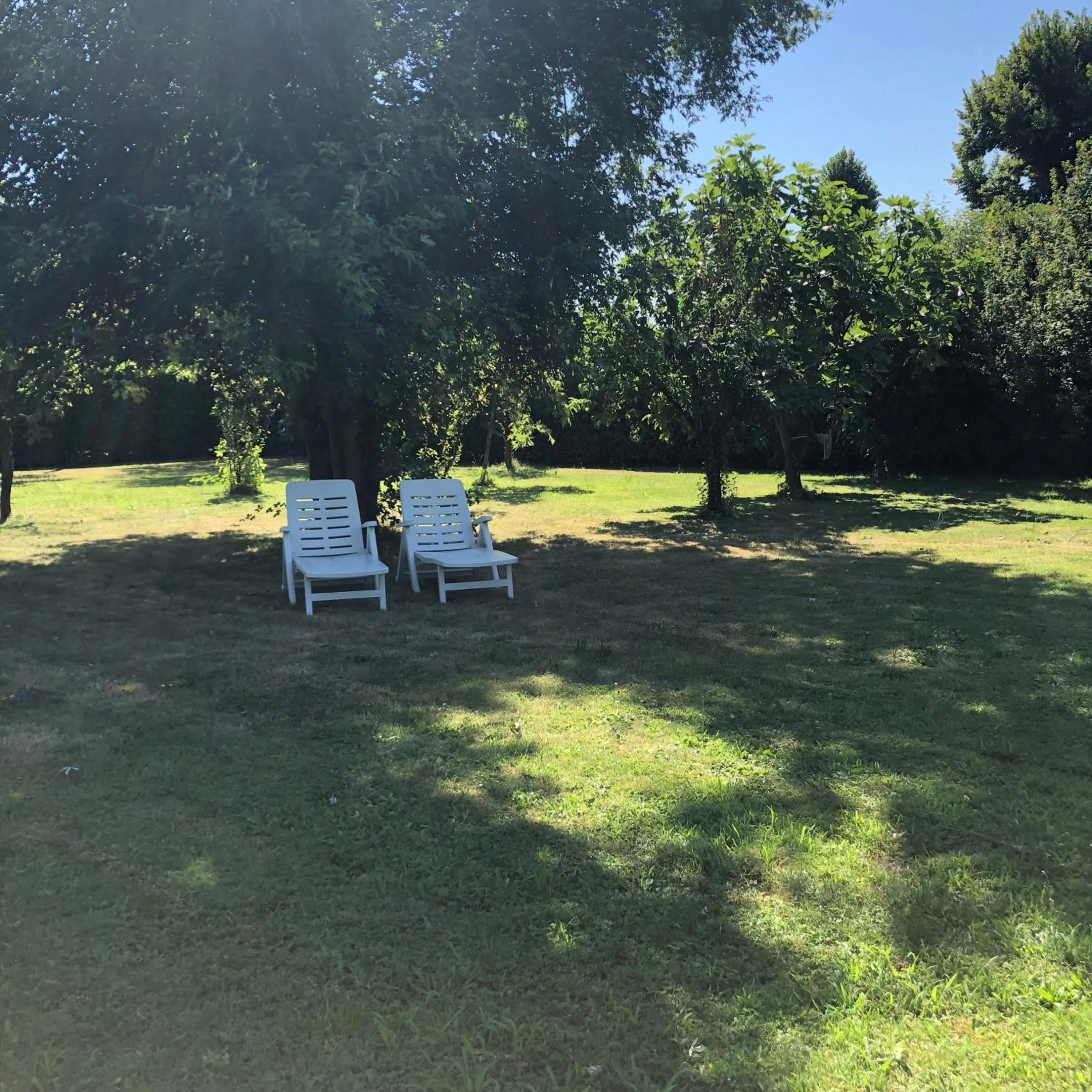 Garden in B&B Family First